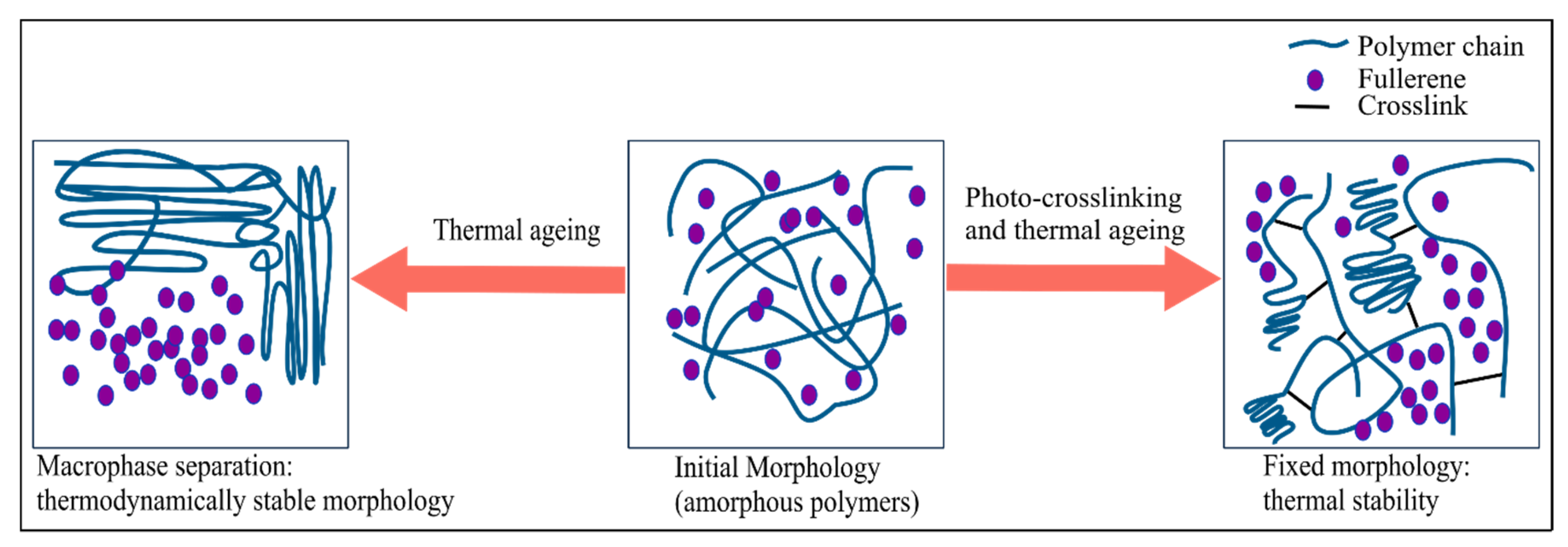 Molecules 25 01009 g005 Molecules 25 01009 g005