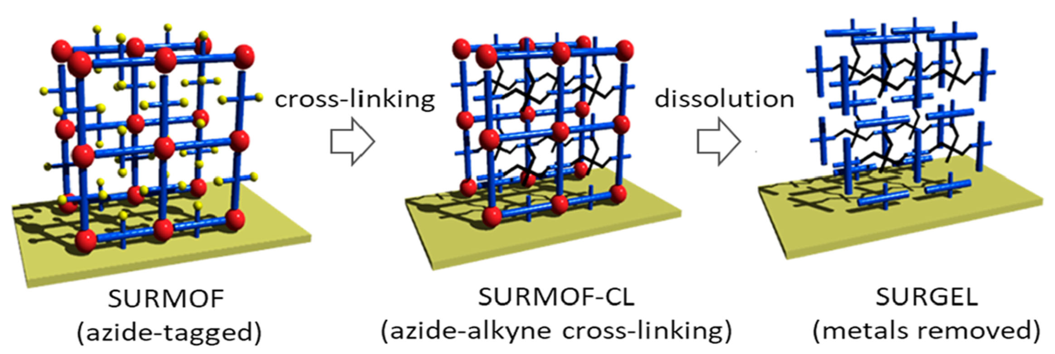 Molecules 25 01009 g010 Molecules 25 01009 g010