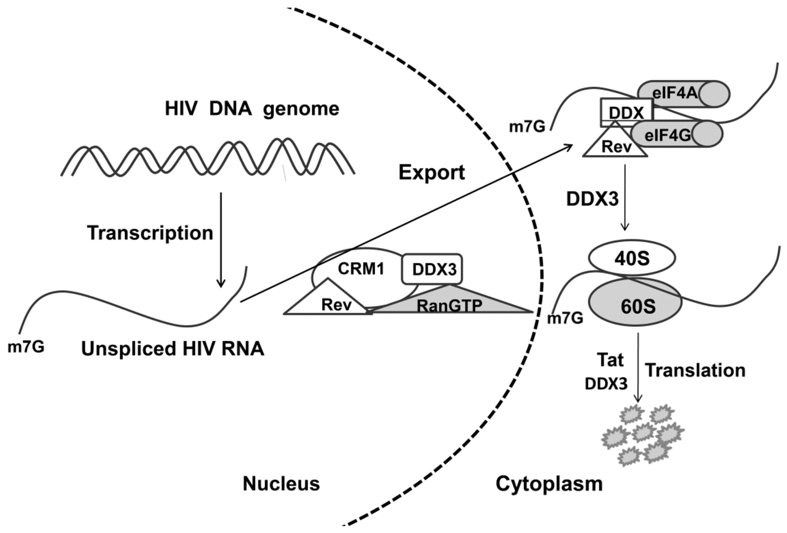 Molecules 25 01015 g003 Molecules 25 01015 g003