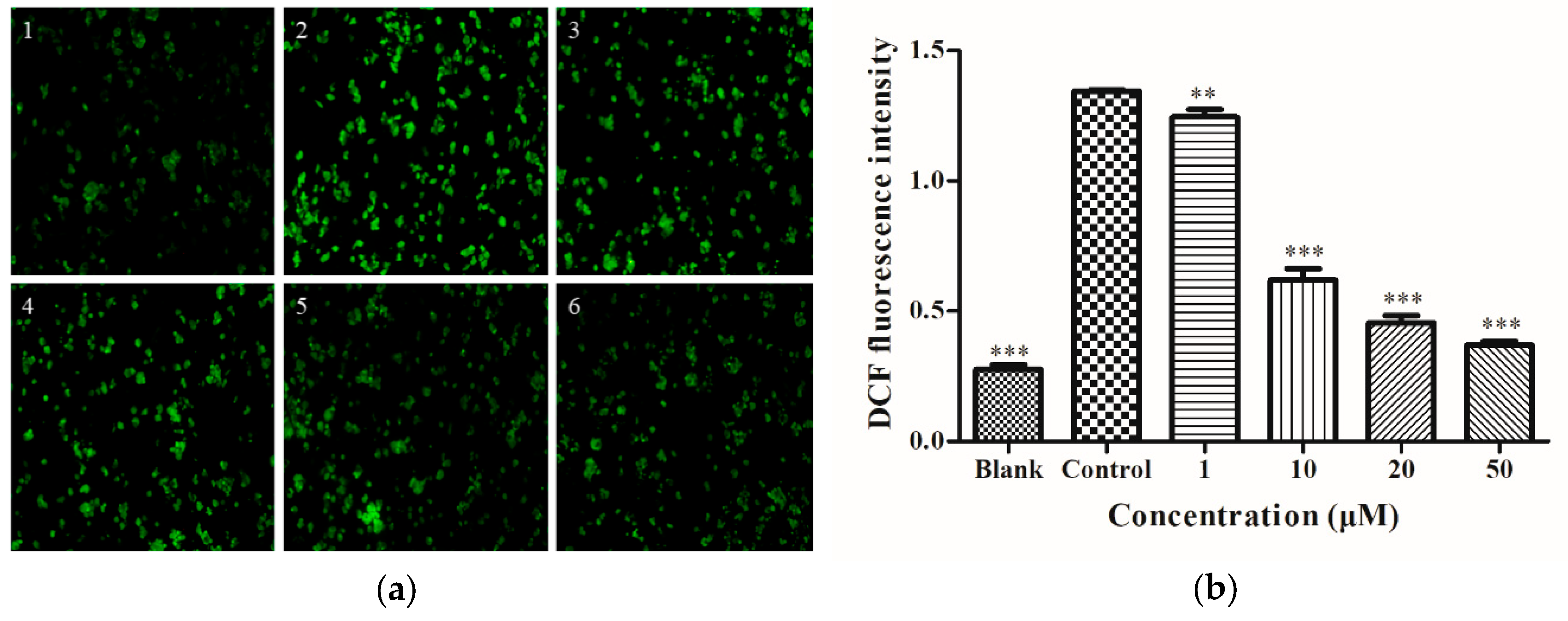 Molecules 25 01024 g002