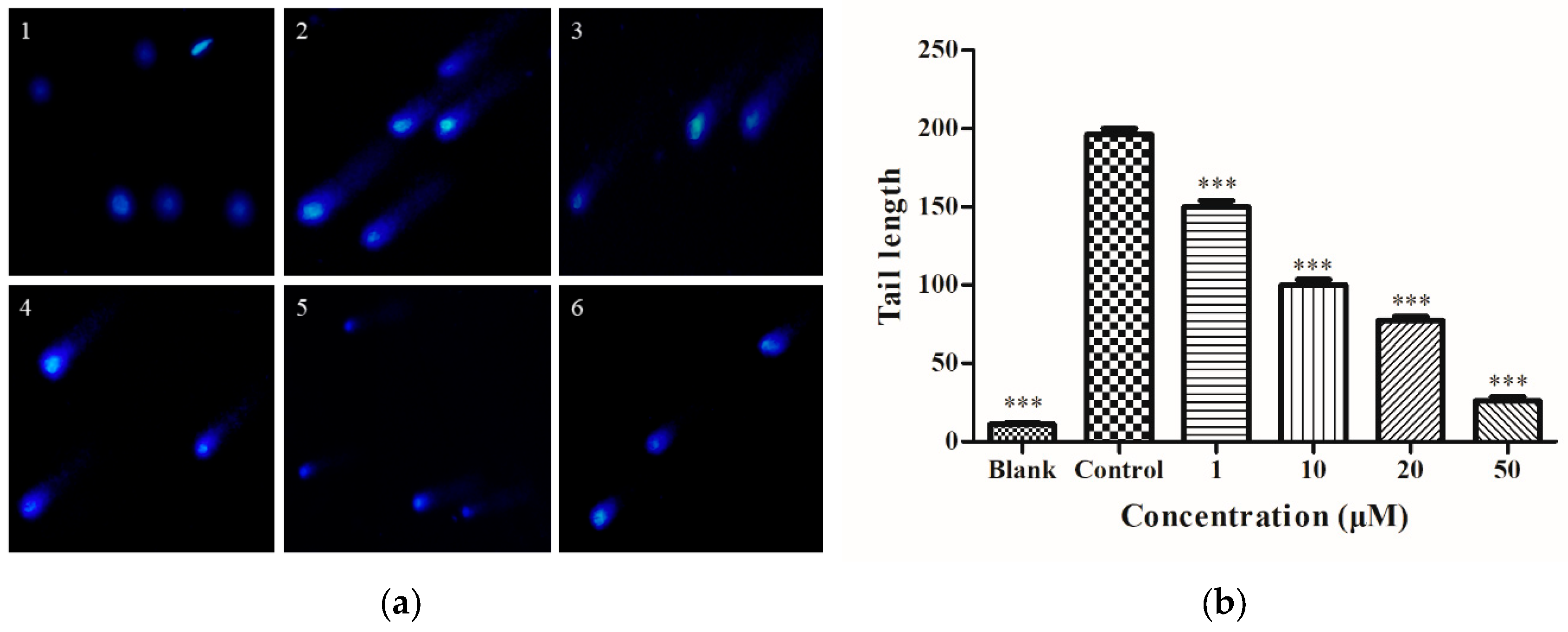 Molecules 25 01024 g004
