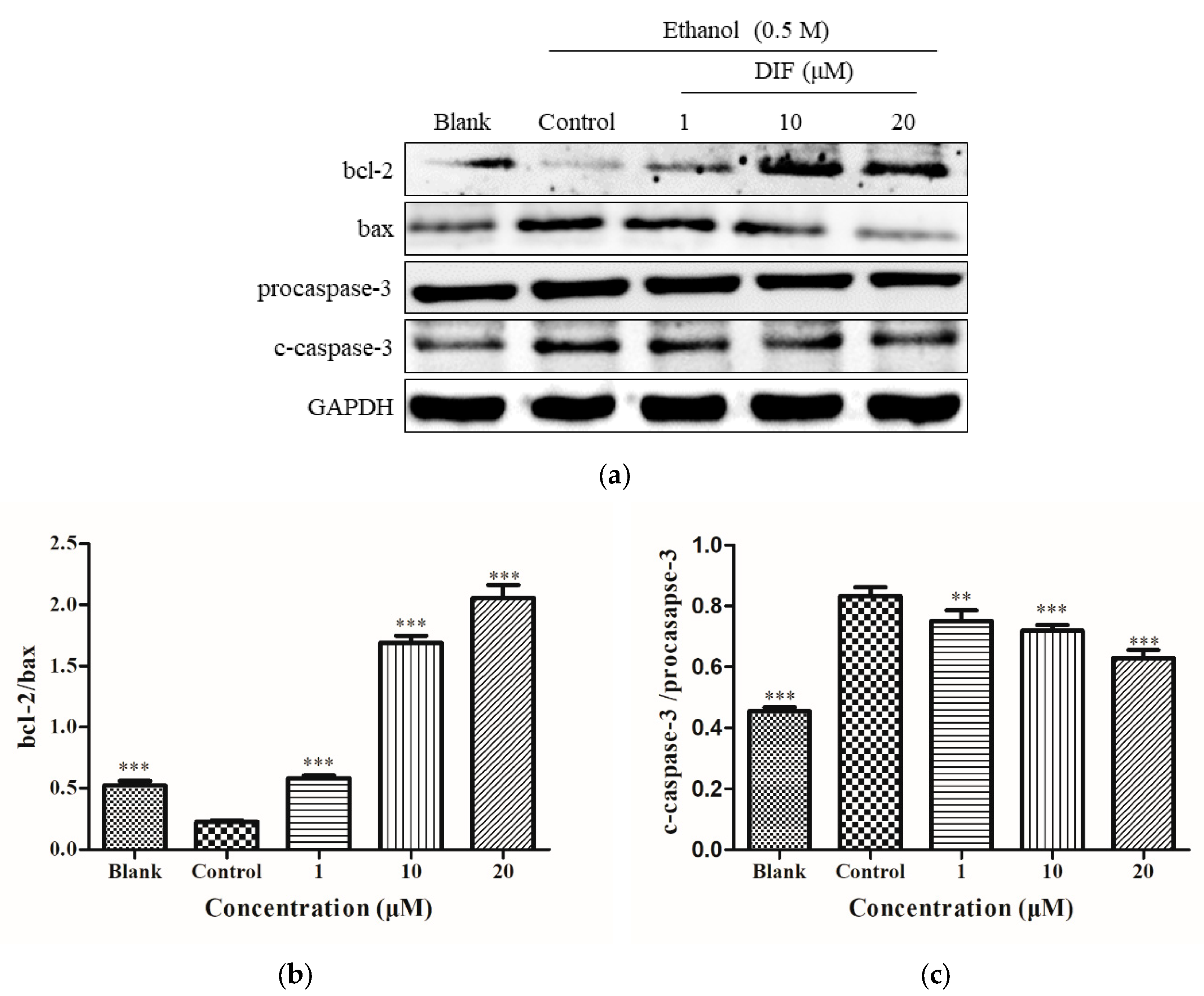 Molecules 25 01024 g005