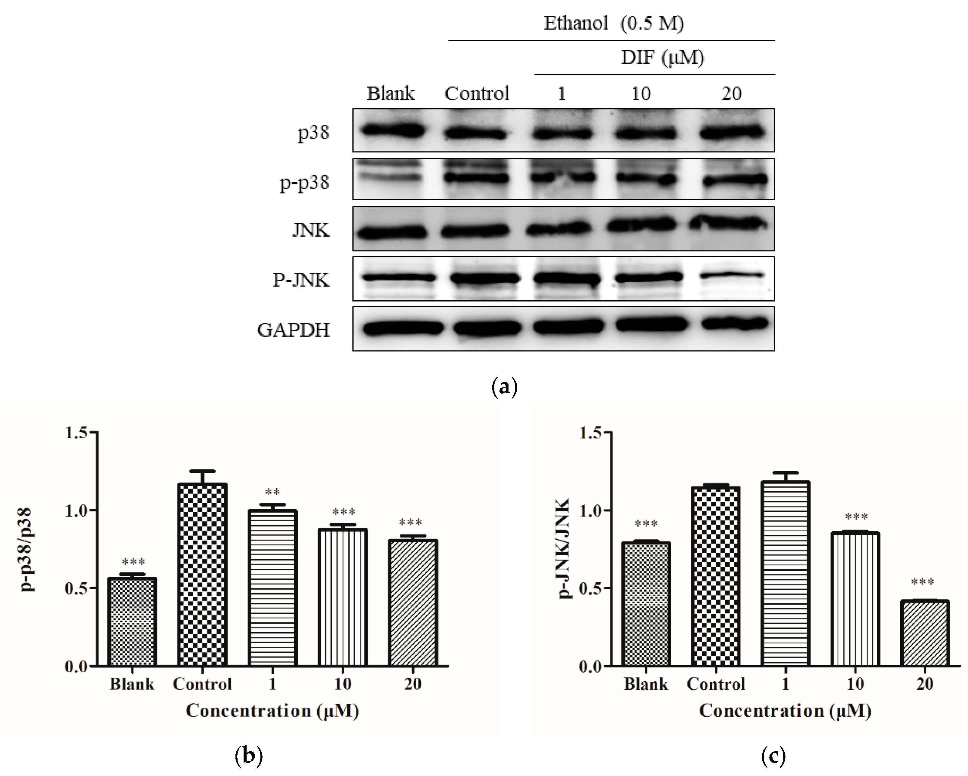 Molecules 25 01024 g006