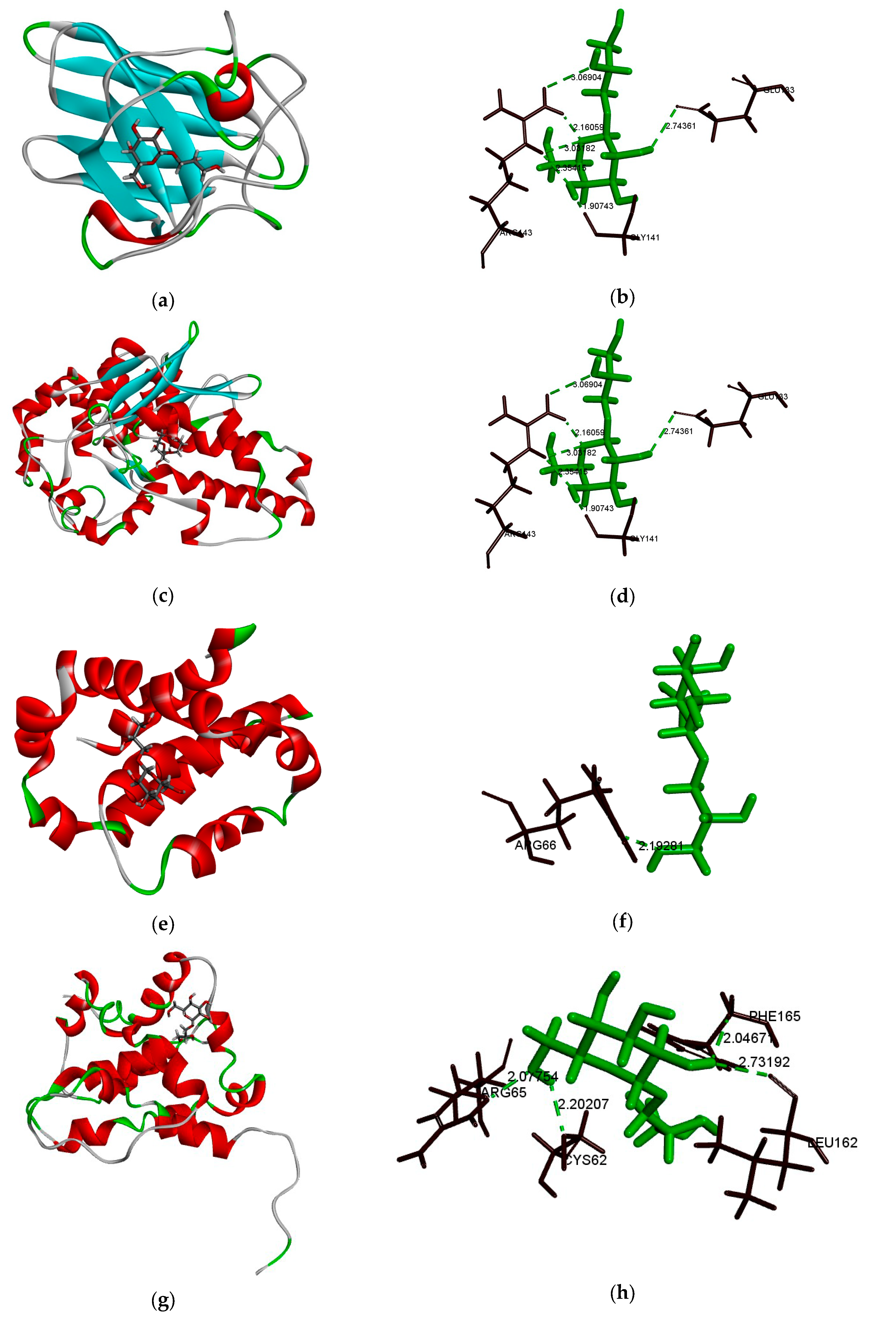 Molecules 25 01024 g007