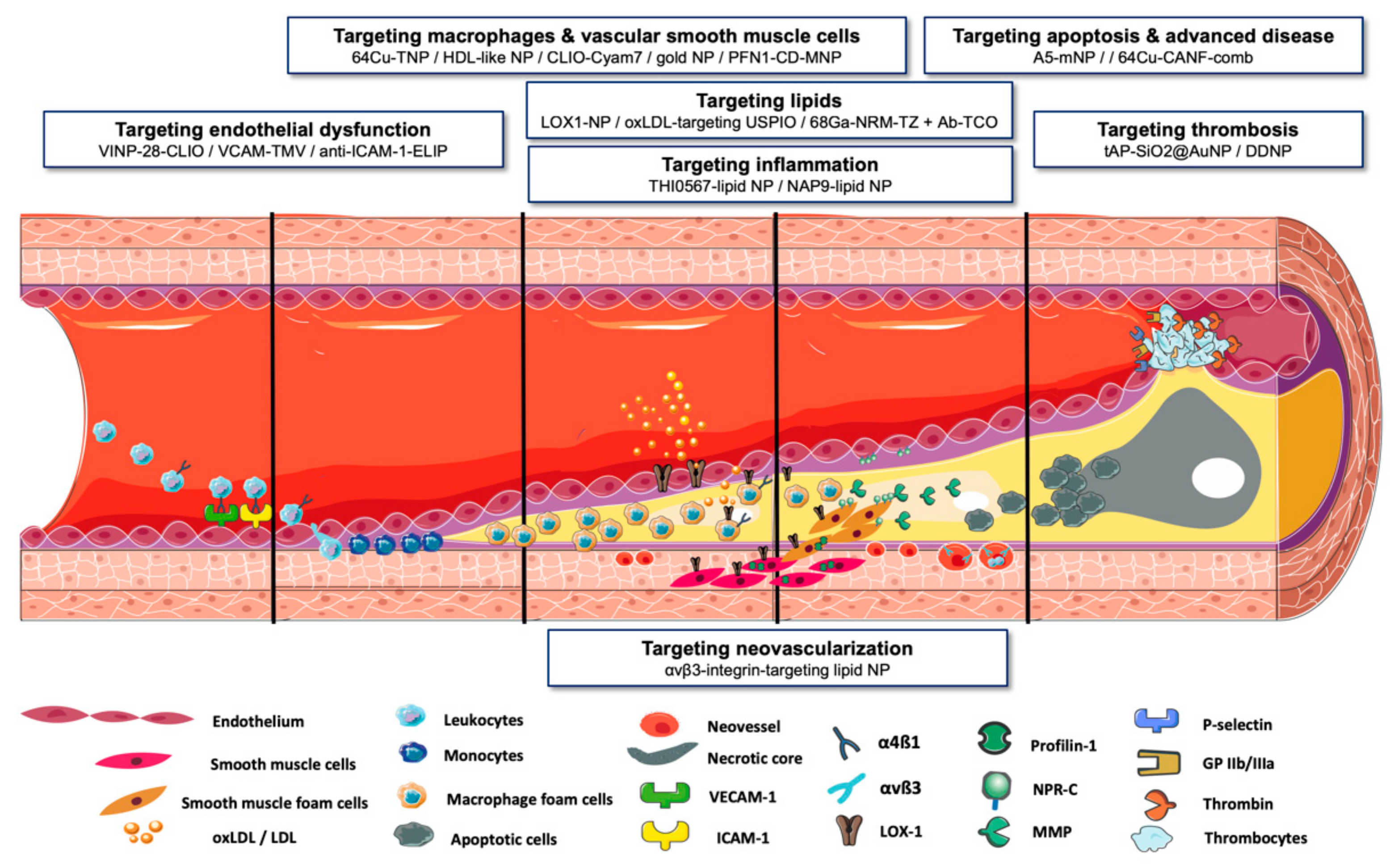 Molecules 25 01029 g001