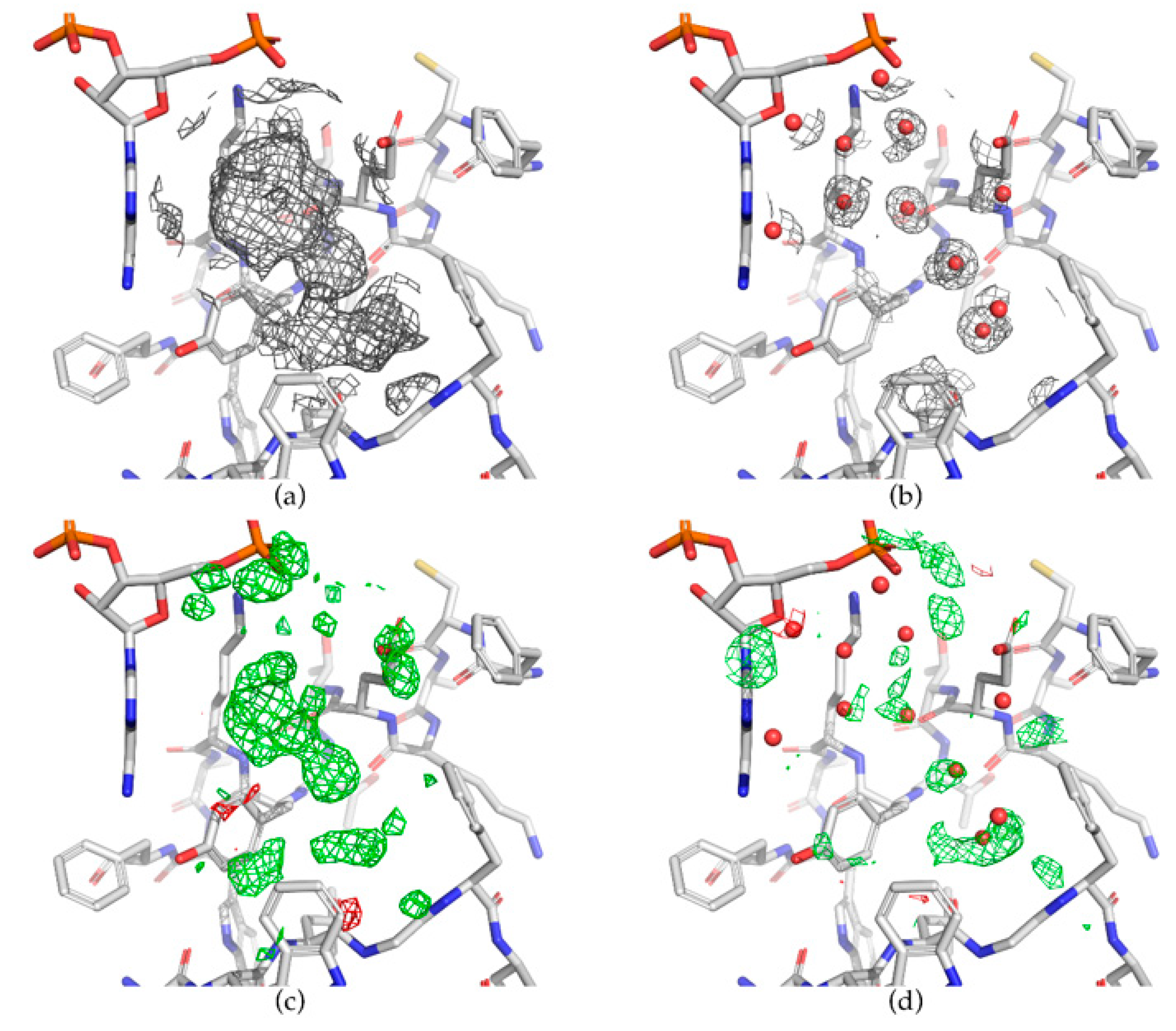 Molecules 25 01030 g002 Molecules 25 01030 g002