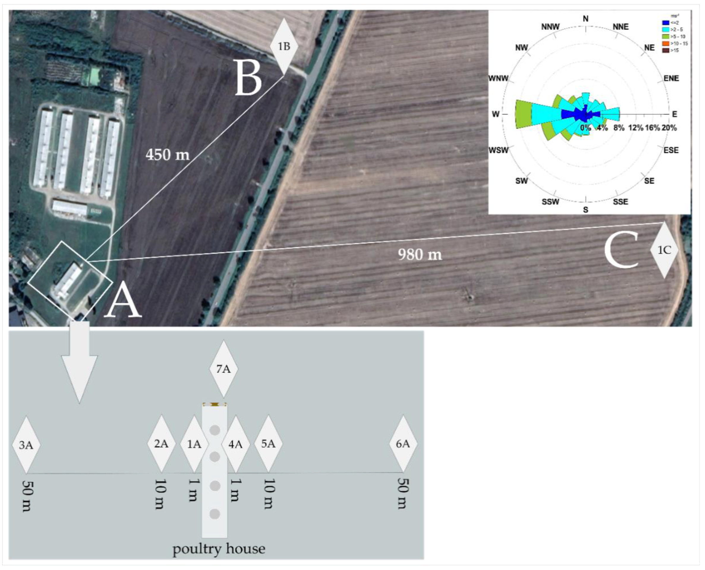 Molecules 25 01031 g001