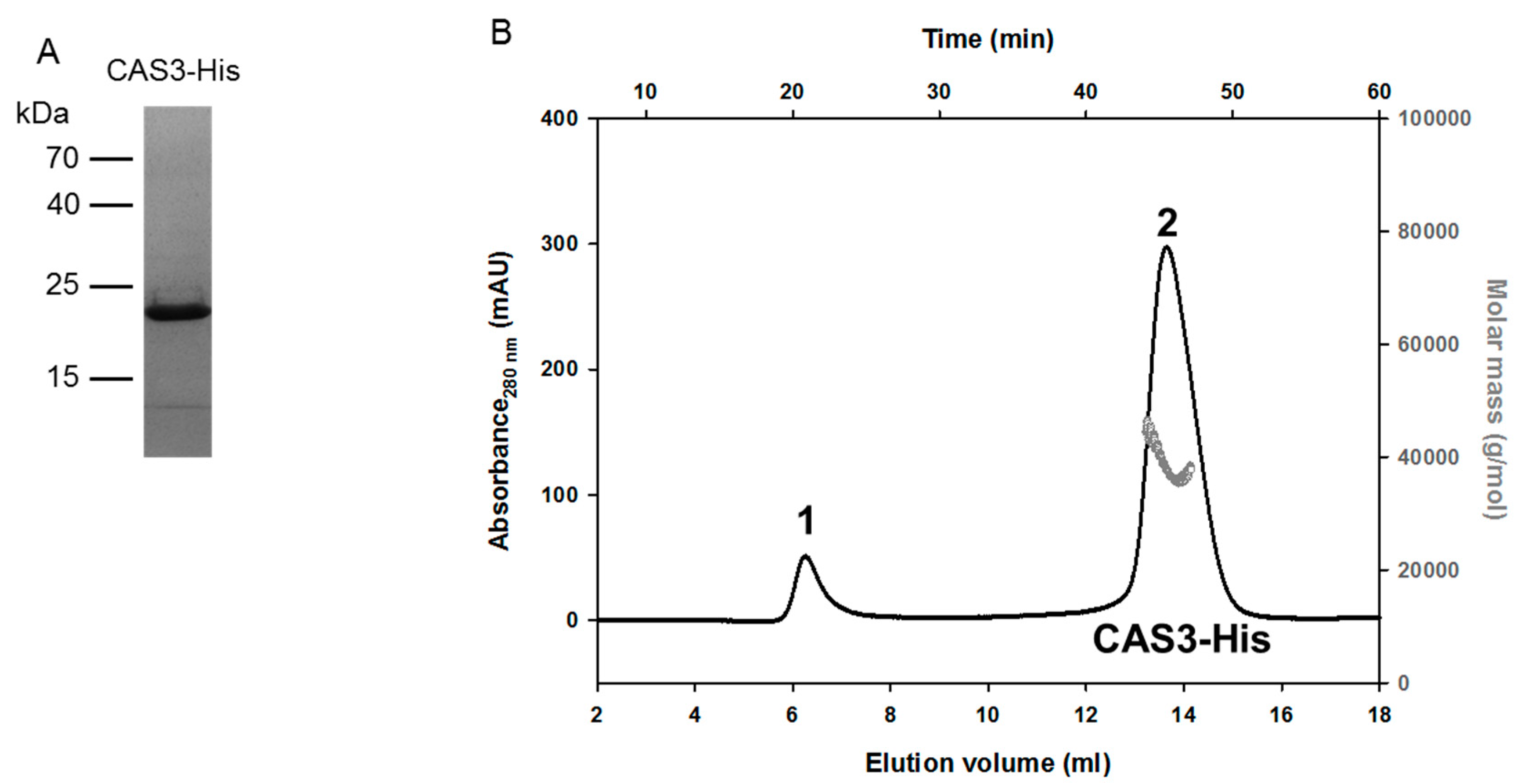 Molecules 25 01036 g001 Molecules 25 01036 g001
