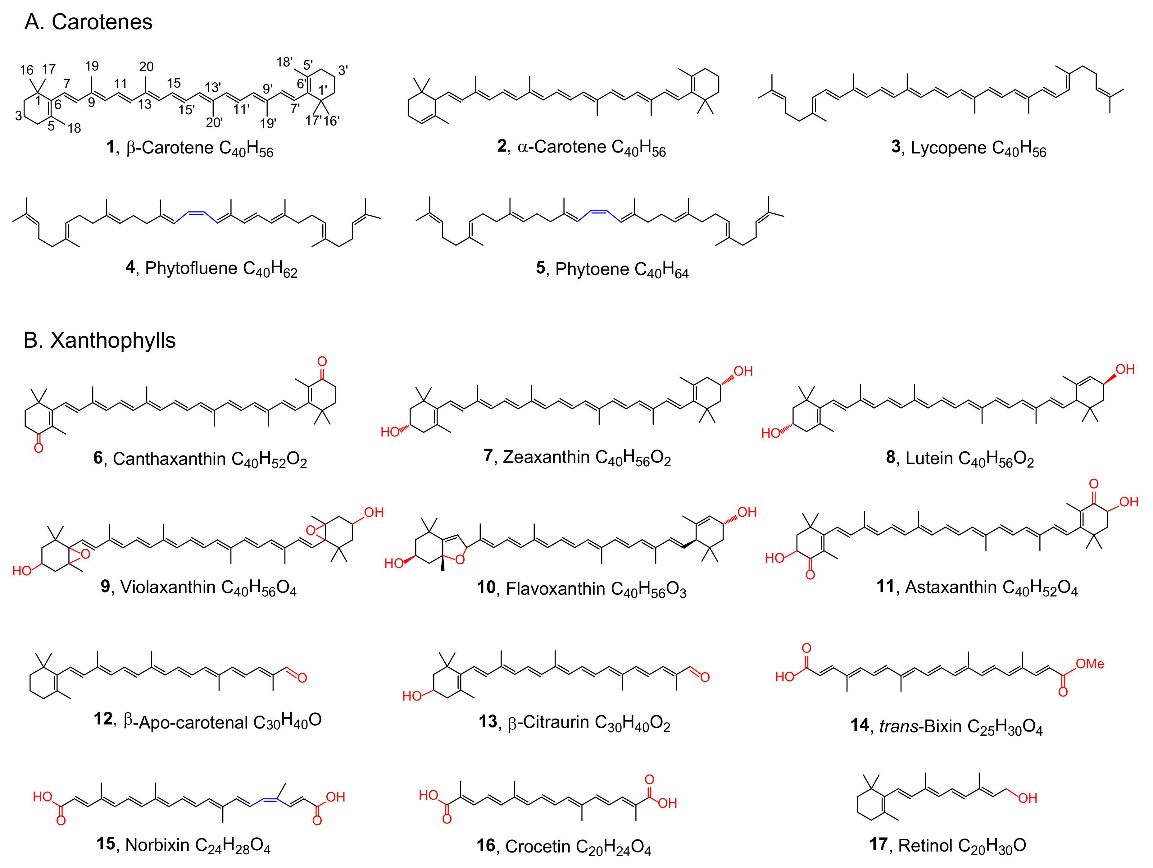 Molecules 25 01038 g001 Molecules 25 01038 g001