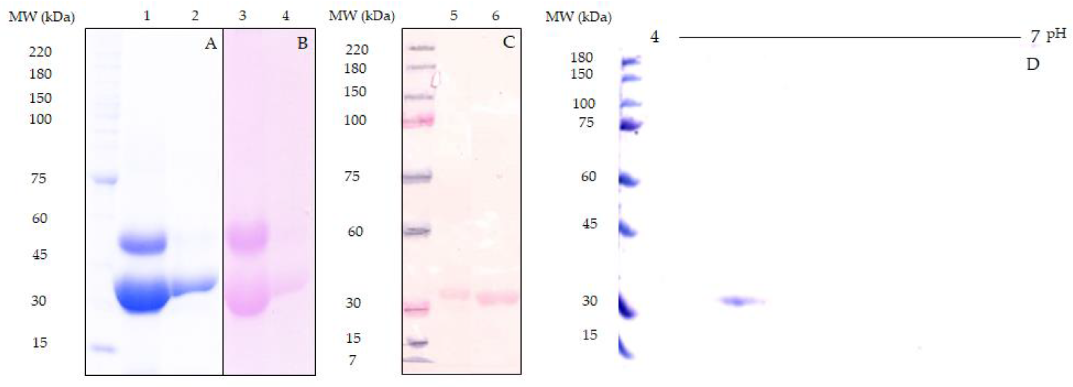 Molecules 25 01041 g002 Molecules 25 01041 g002
