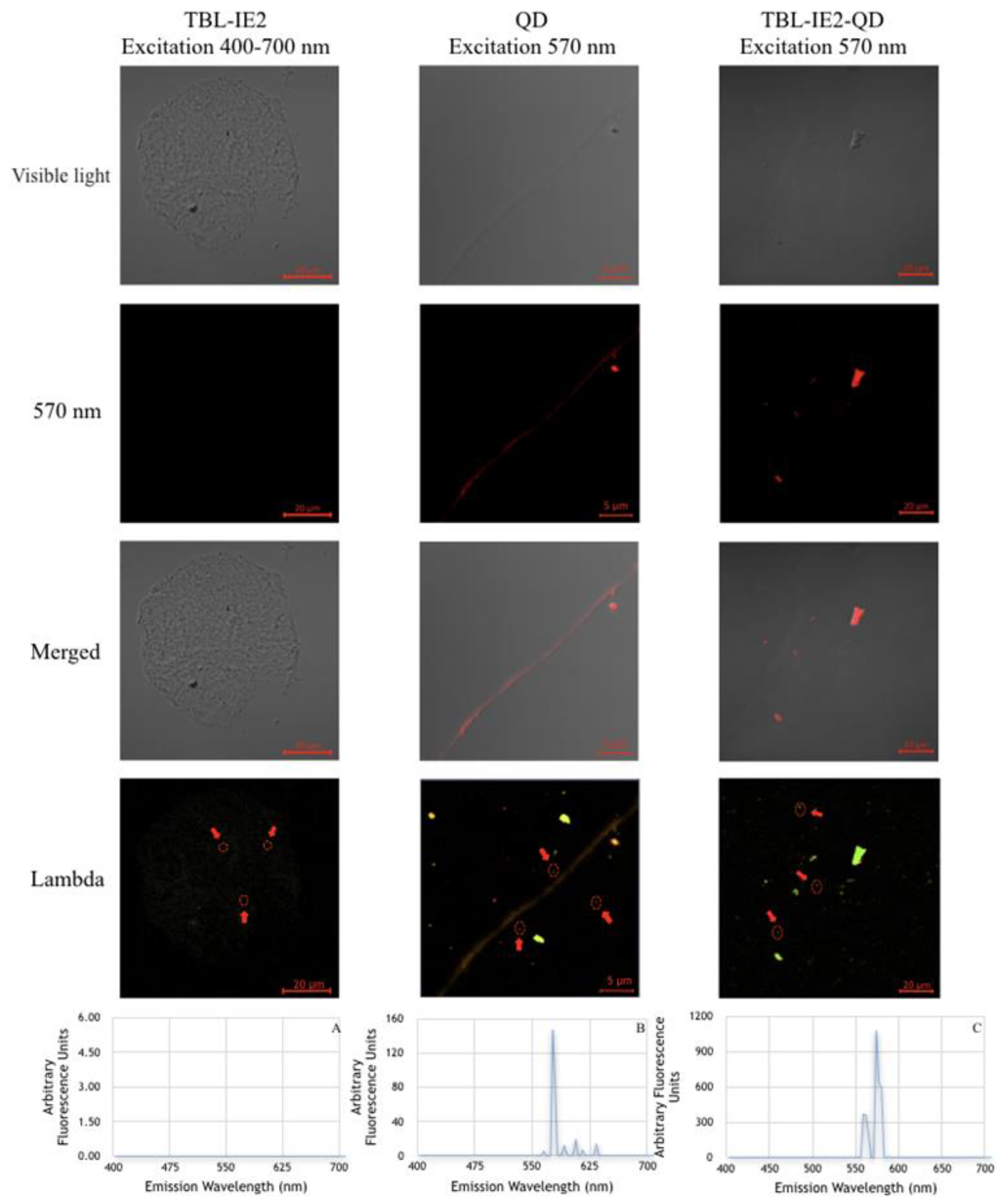 Molecules 25 01041 g003 Molecules 25 01041 g003