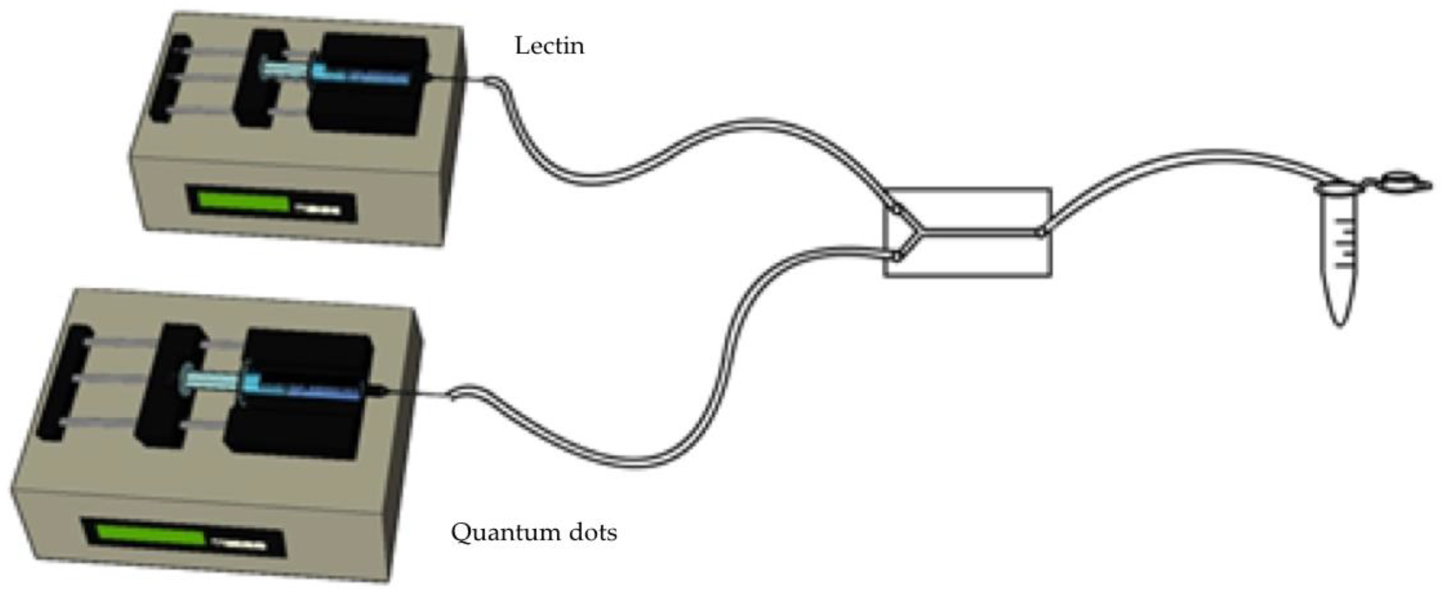 Molecules 25 01041 g006 Molecules 25 01041 g006