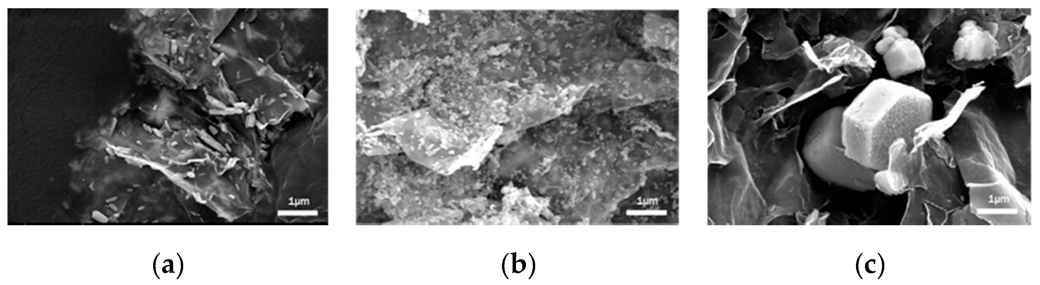 Molecules 25 01043 g001 Molecules 25 01043 g001