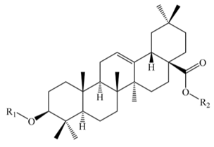 Molecules 25 01059 i001 Molecules 25 01059 i001