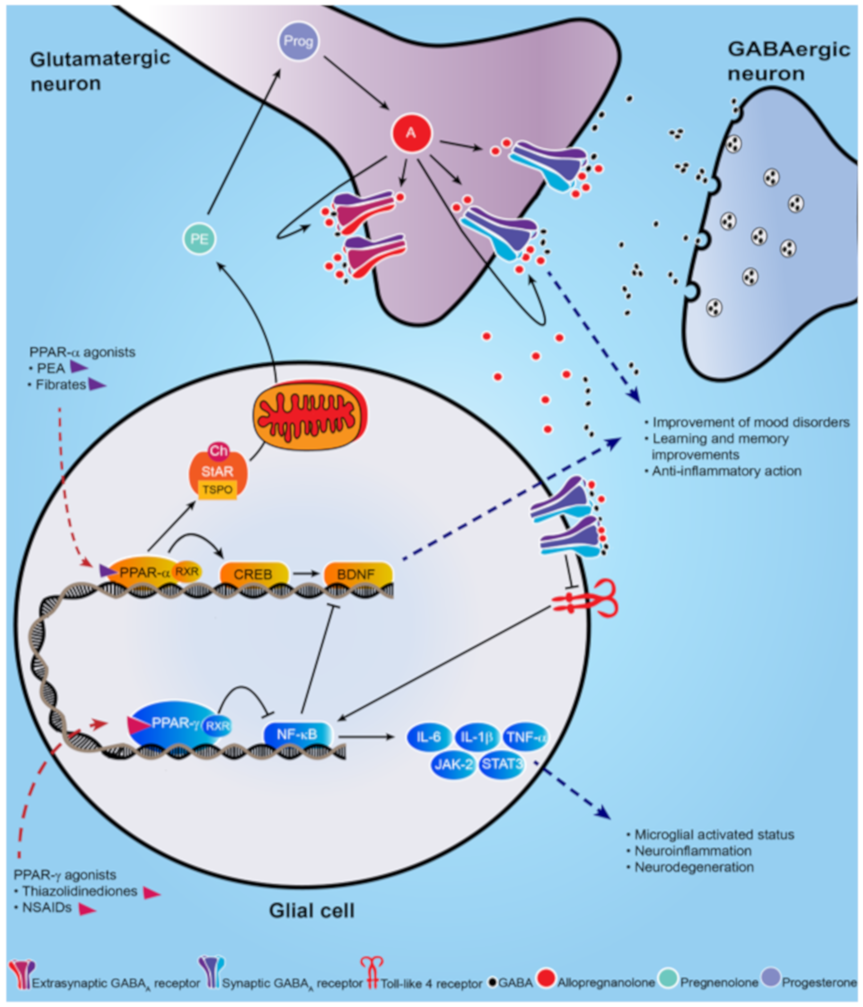Molecules 25 01062 g001 Molecules 25 01062 g001