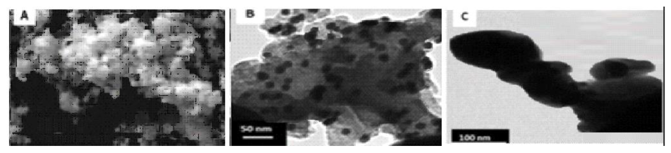 Molecules 25 01063 g002 Molecules 25 01063 g002