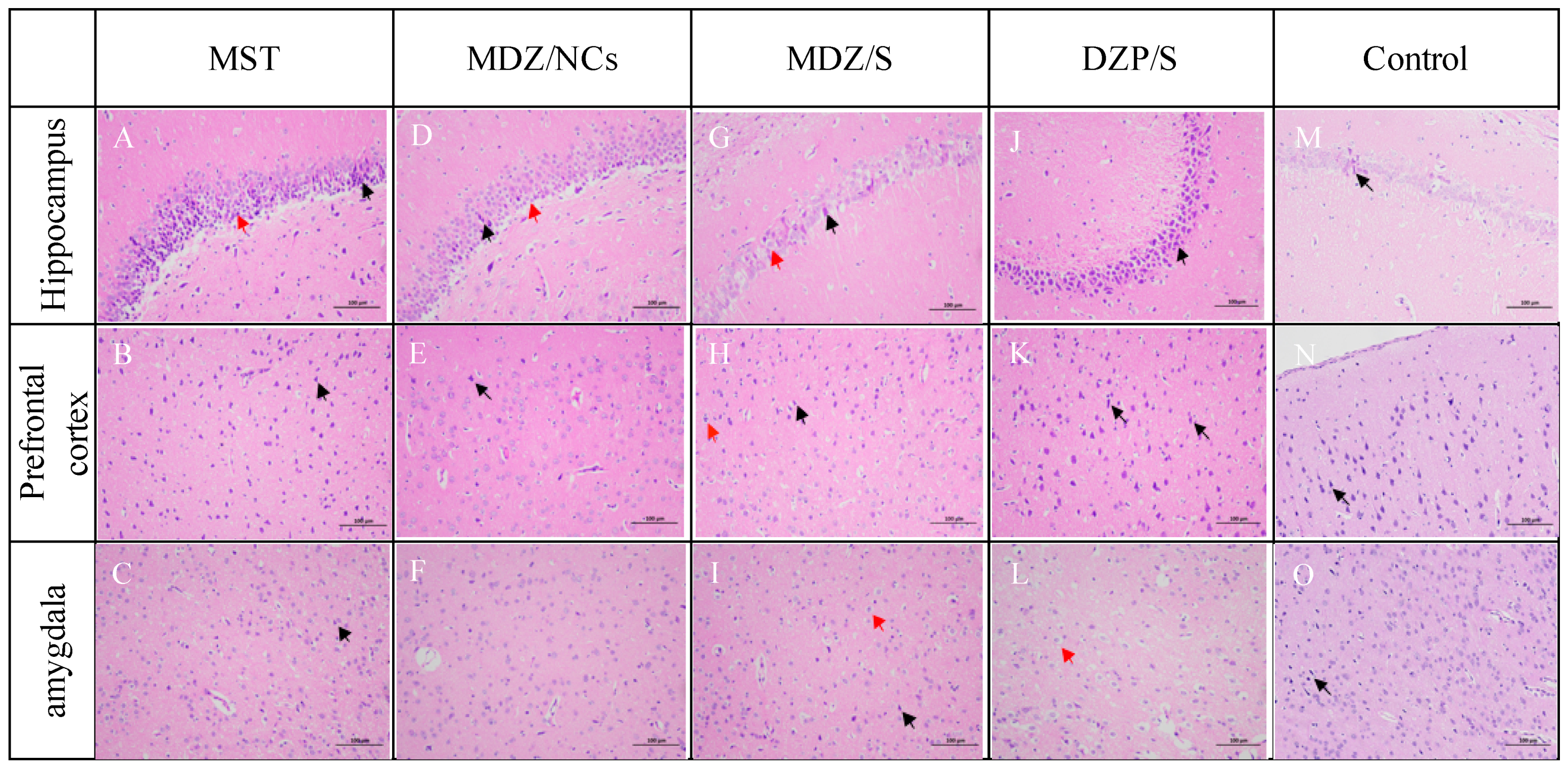 Molecules 25 01080 g012