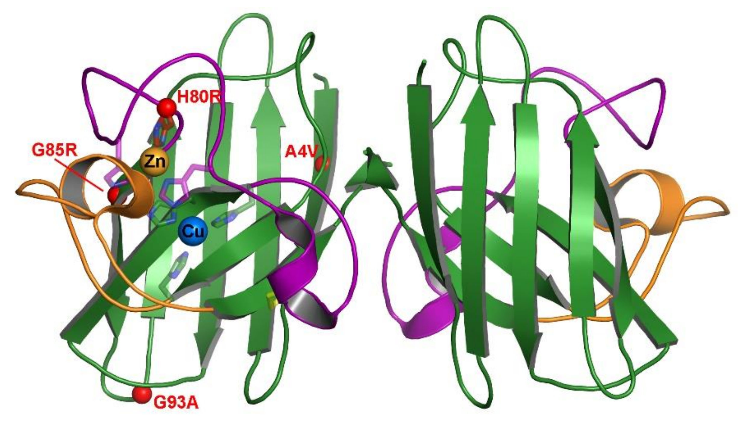 Molecules 25 01086 g001 Molecules 25 01086 g001