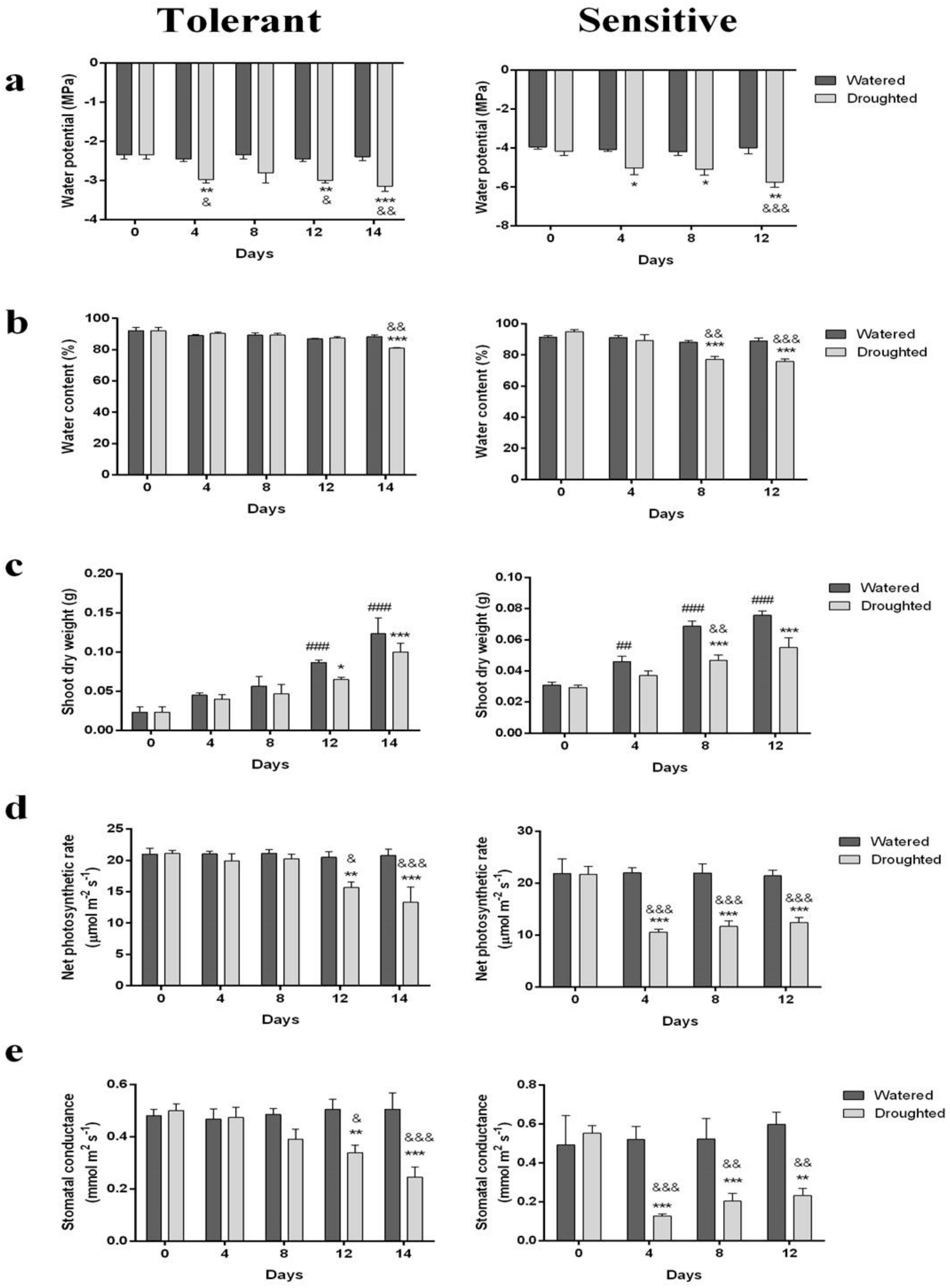 Molecules 25 01091 g001