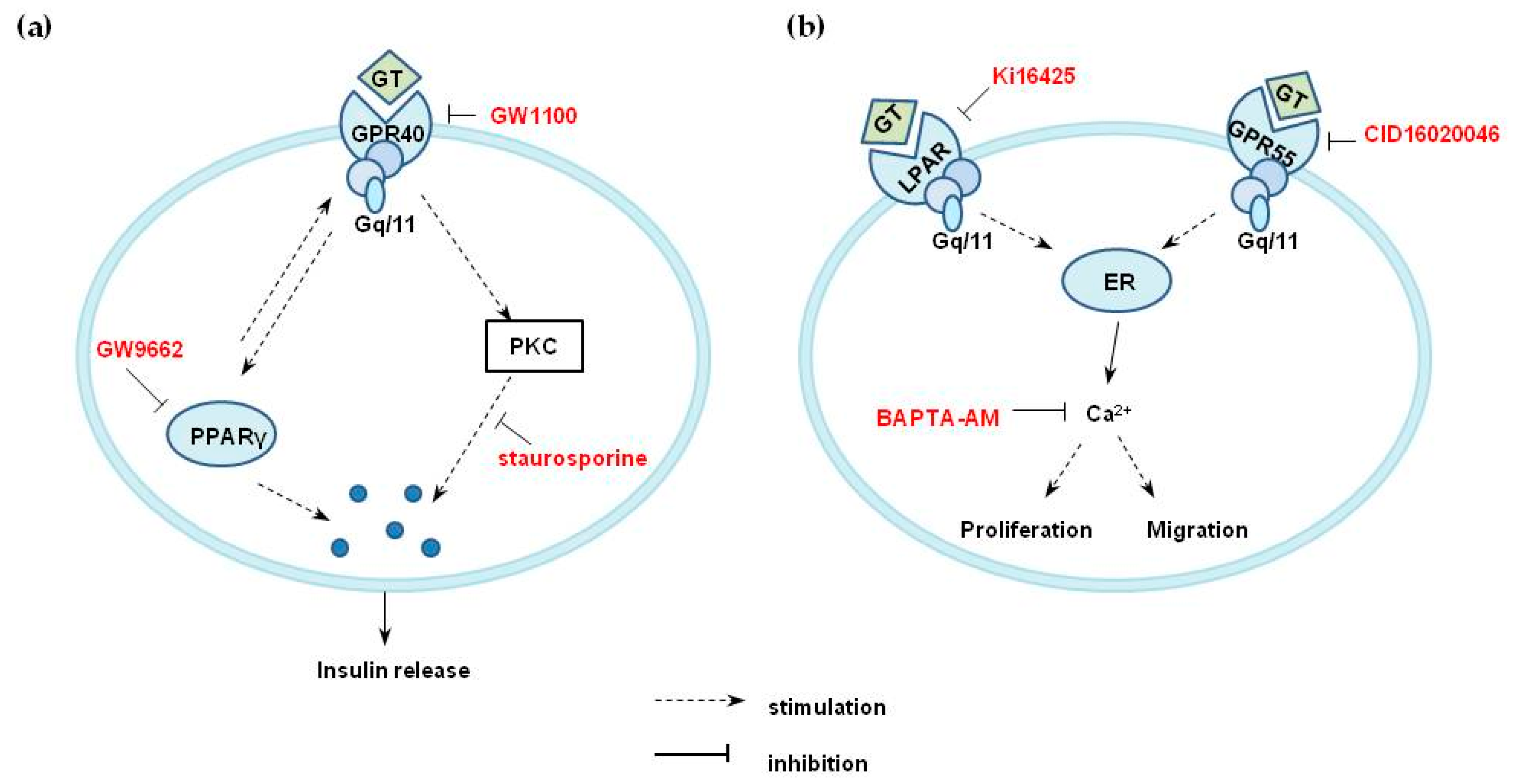 Molecules 25 01102 g009 Molecules 25 01102 g009