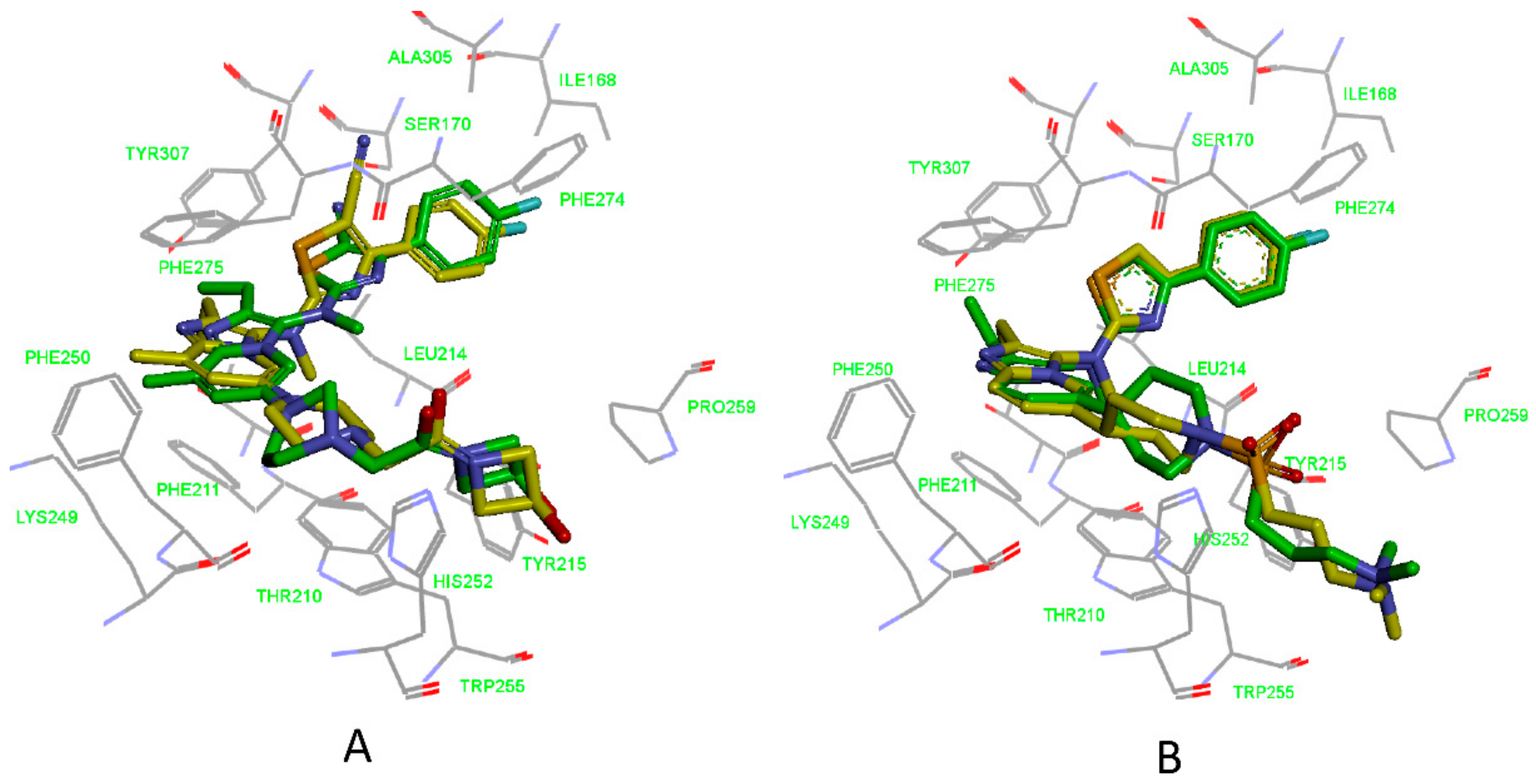 Molecules 25 01107 g004