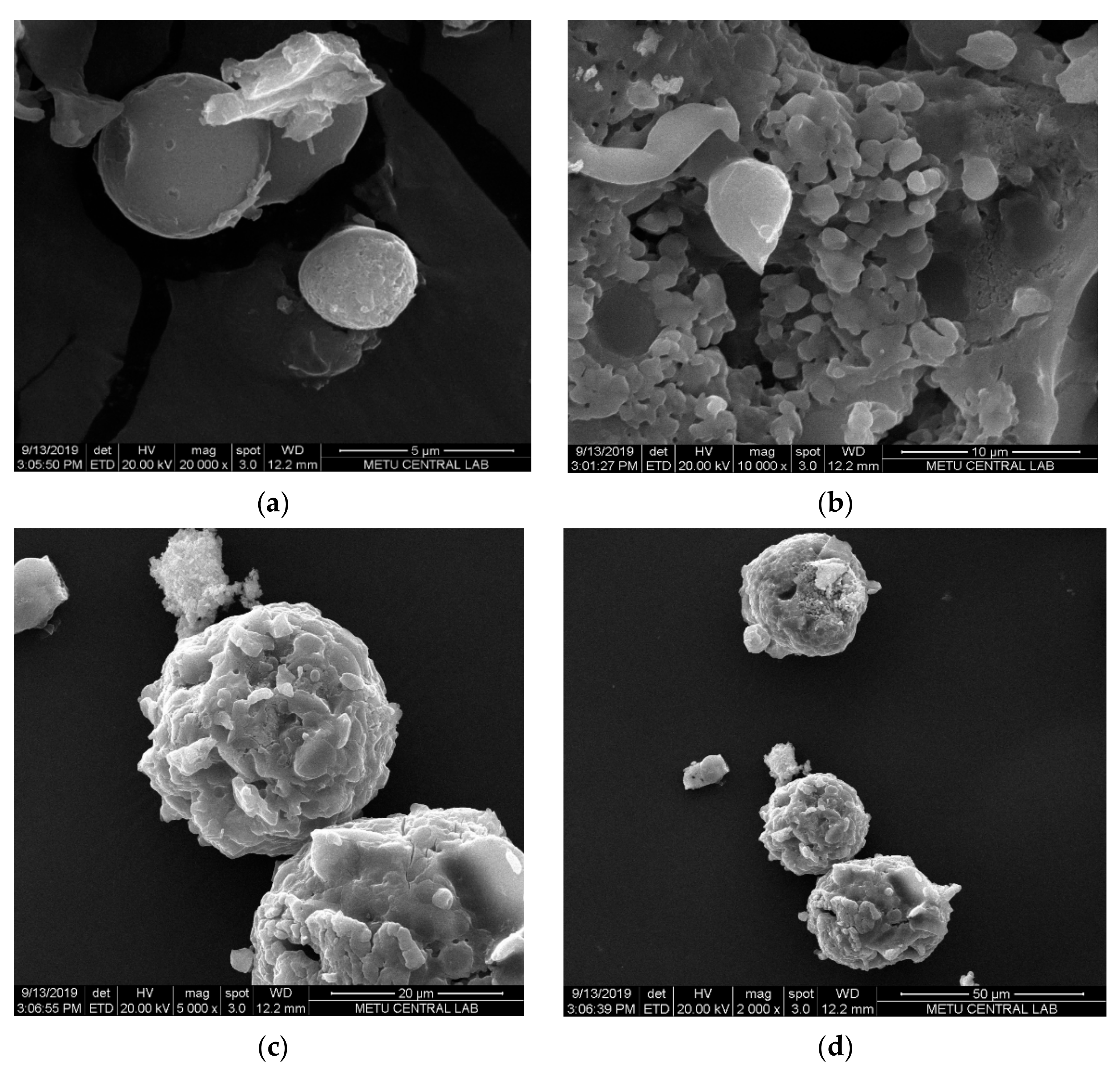 Molecules 25 01110 g003