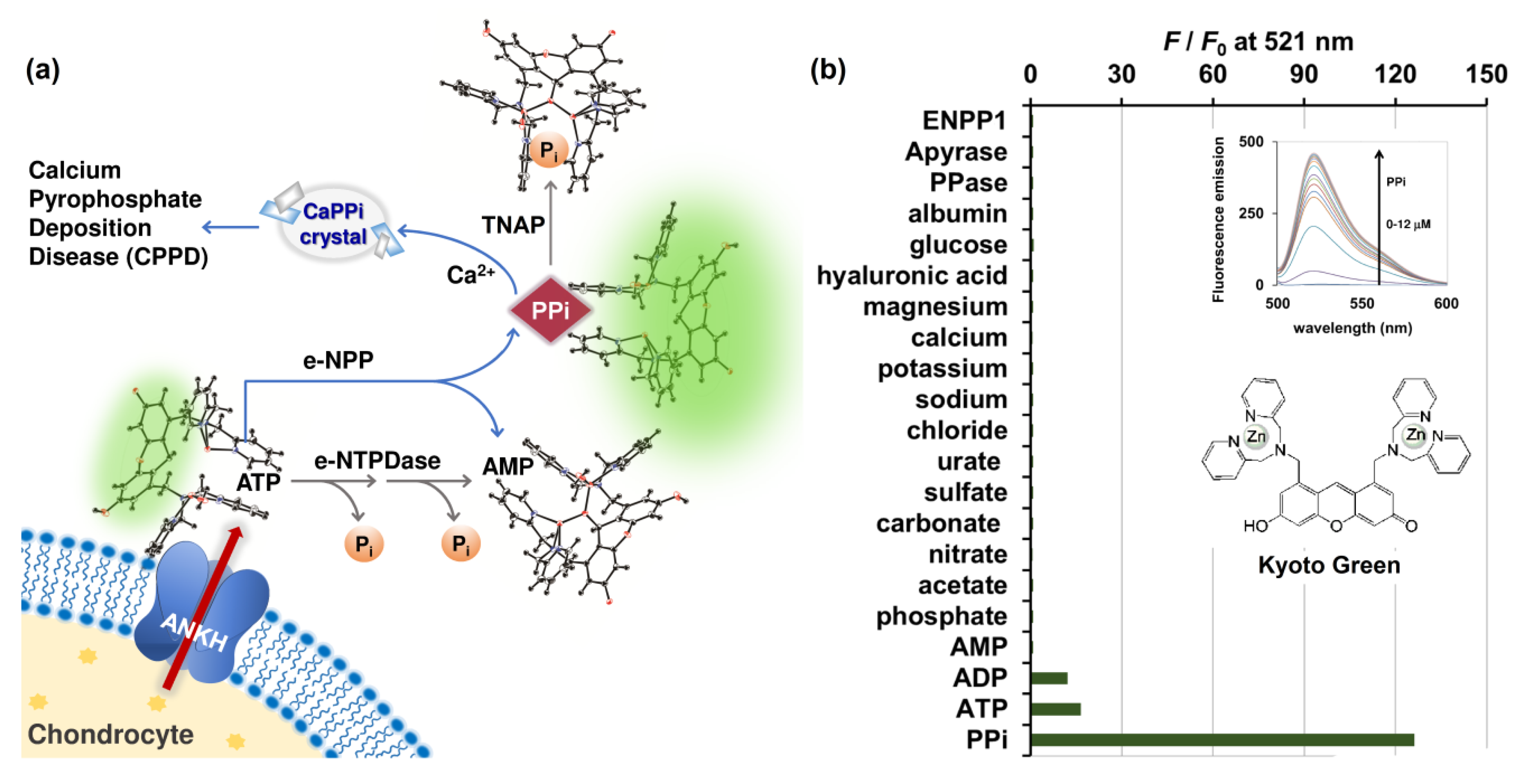 Molecules 25 01116 g001