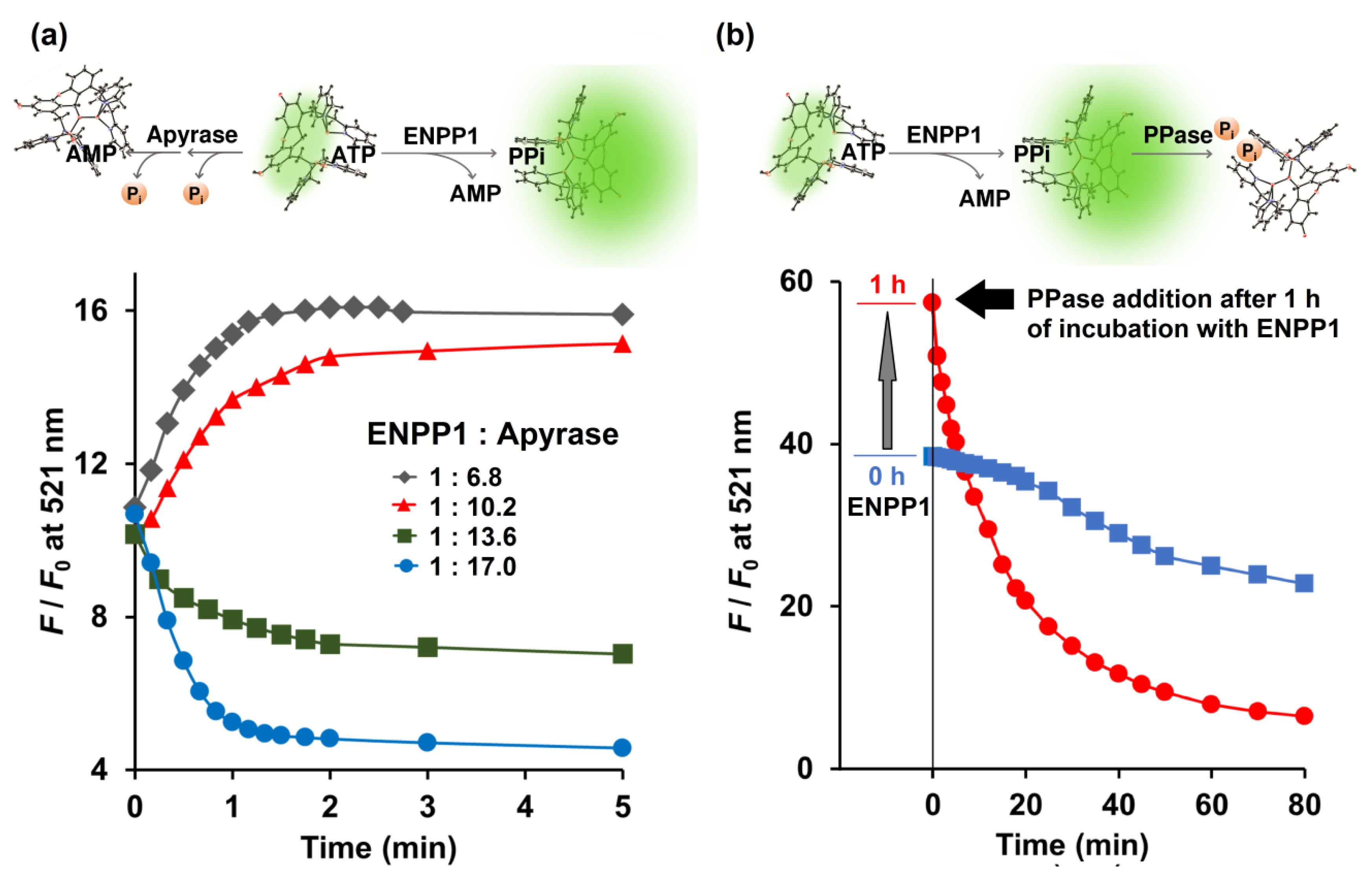 Molecules 25 01116 g003