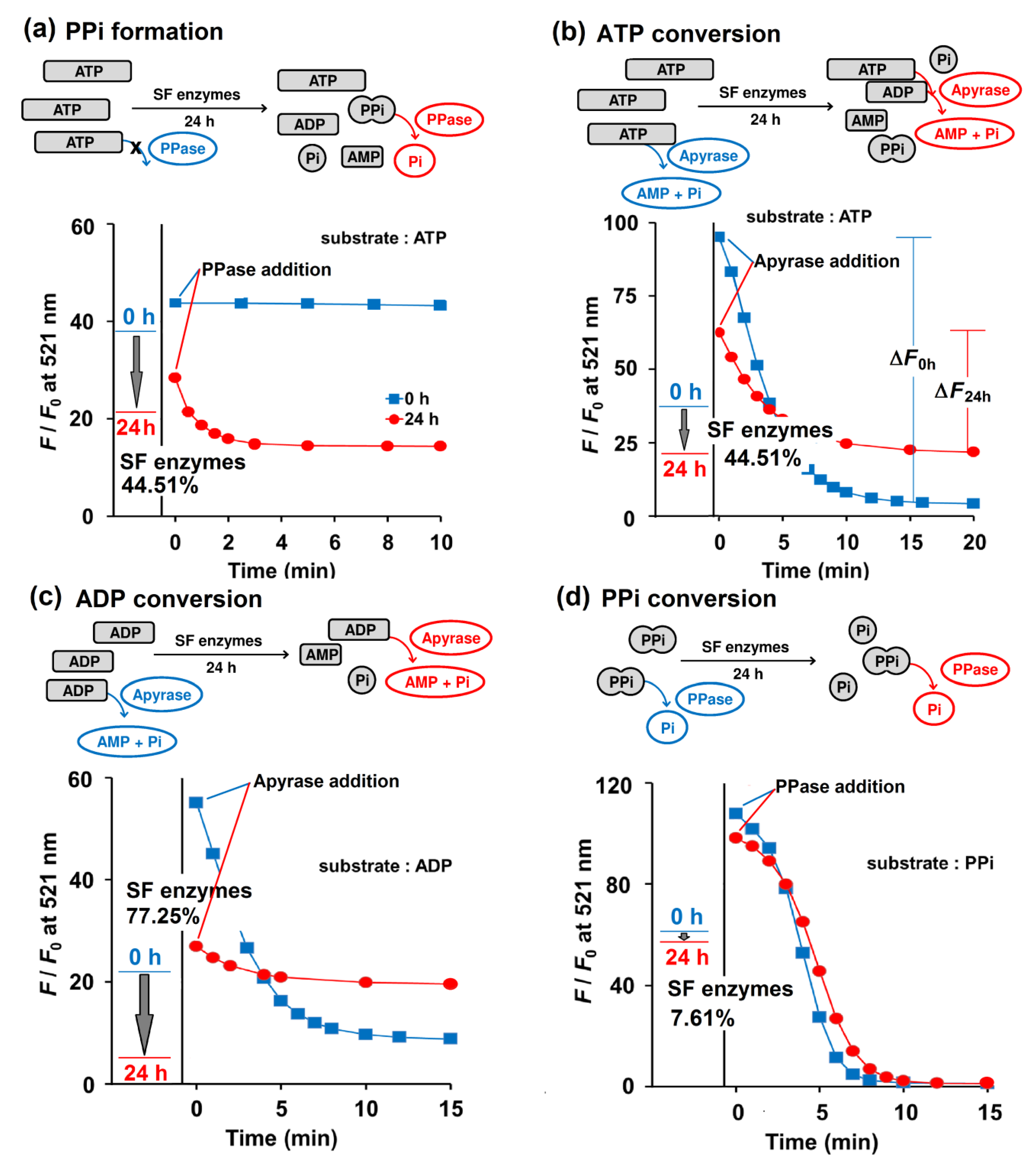 Molecules 25 01116 g004