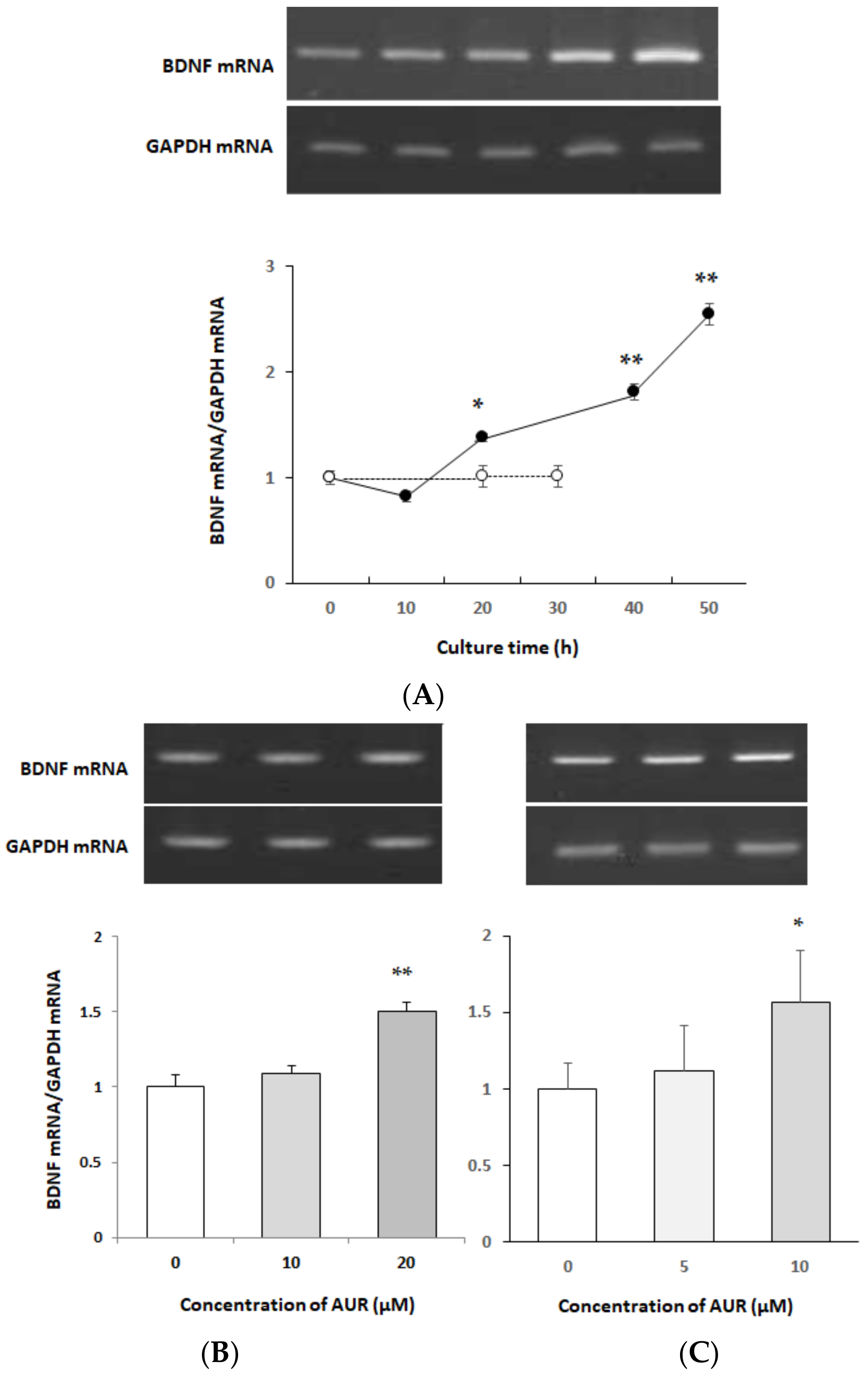 Molecules 25 01117 g002