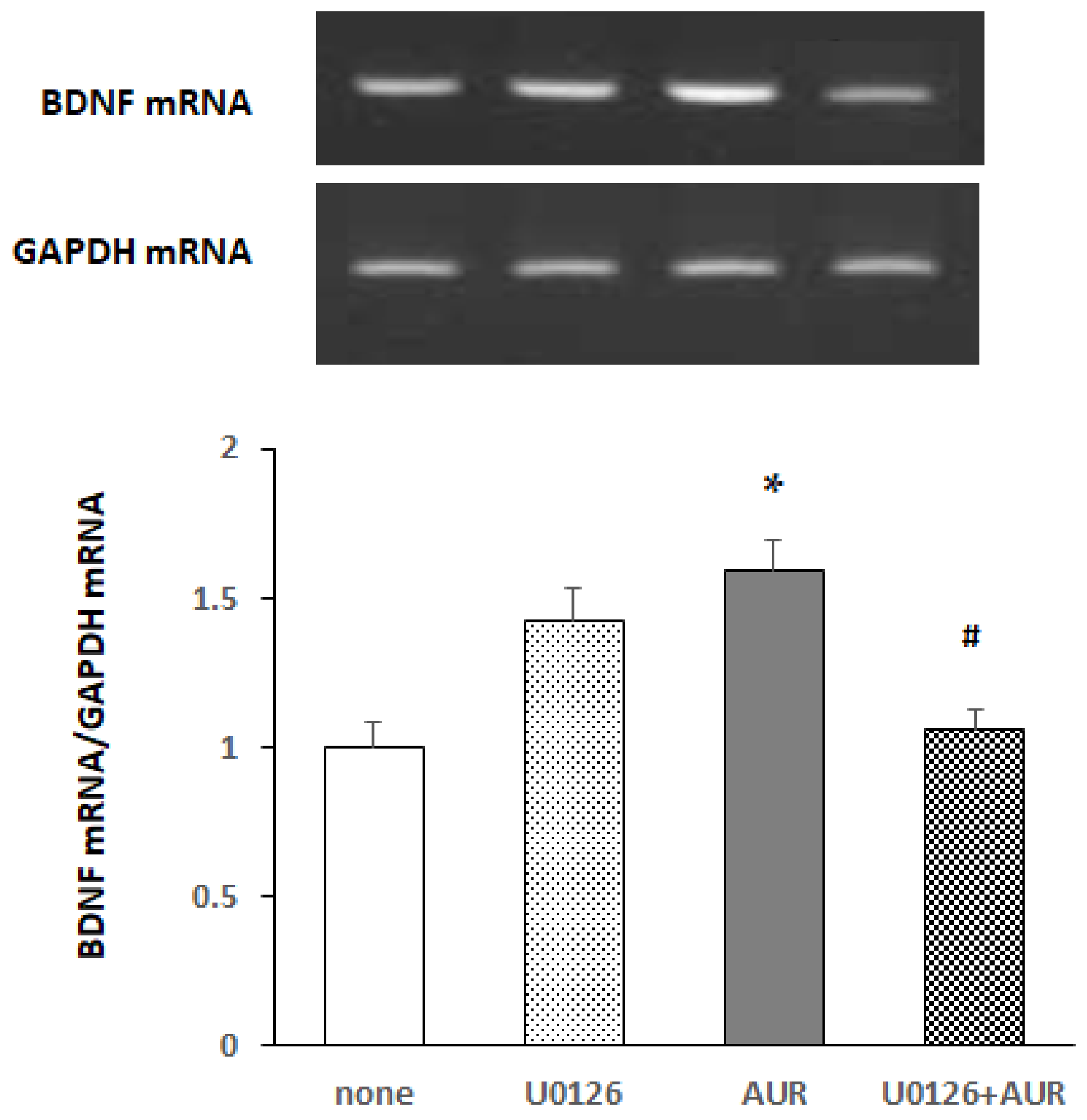 Molecules 25 01117 g004