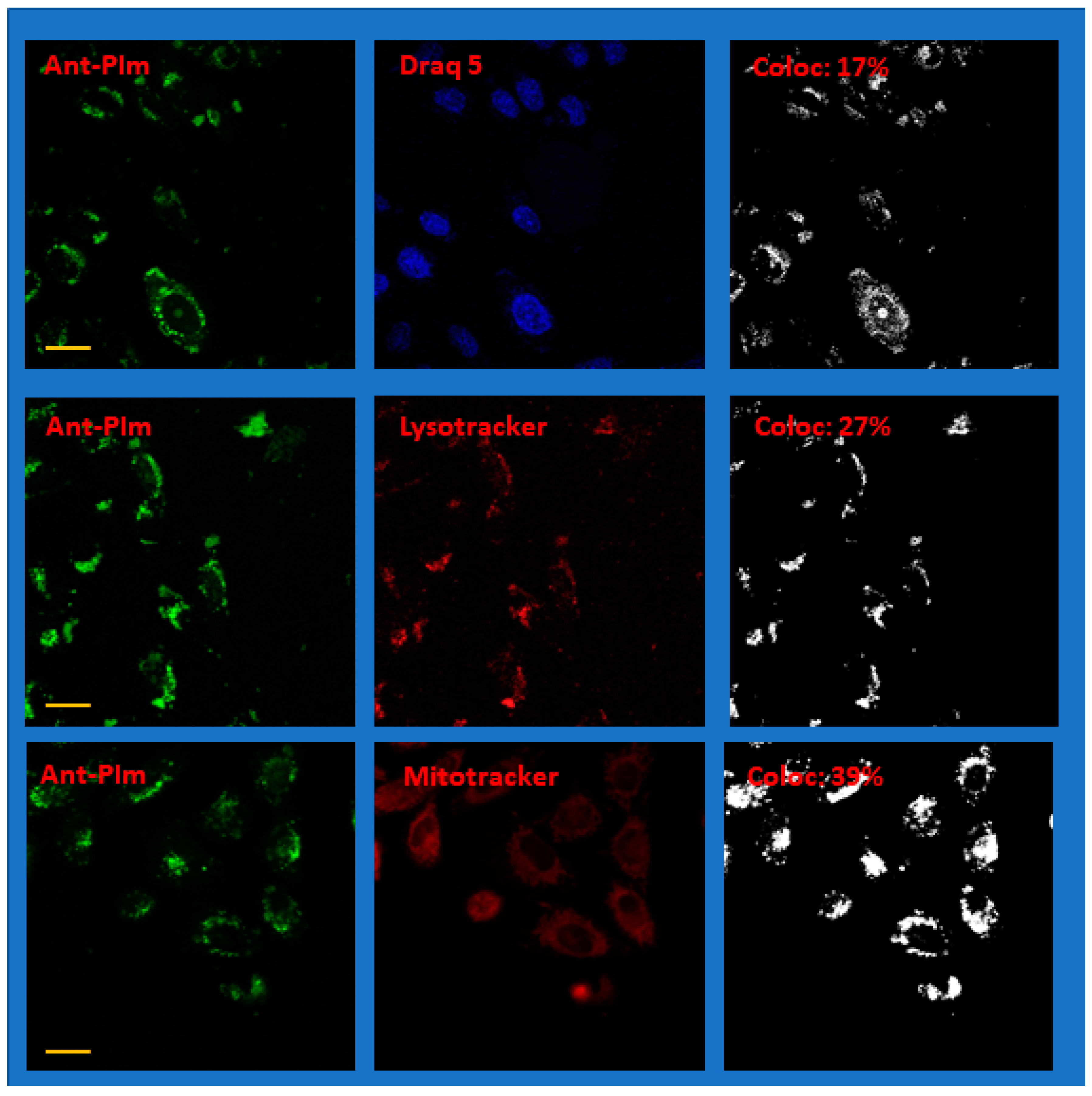 Molecules 25 01127 g006 Molecules 25 01127 g006