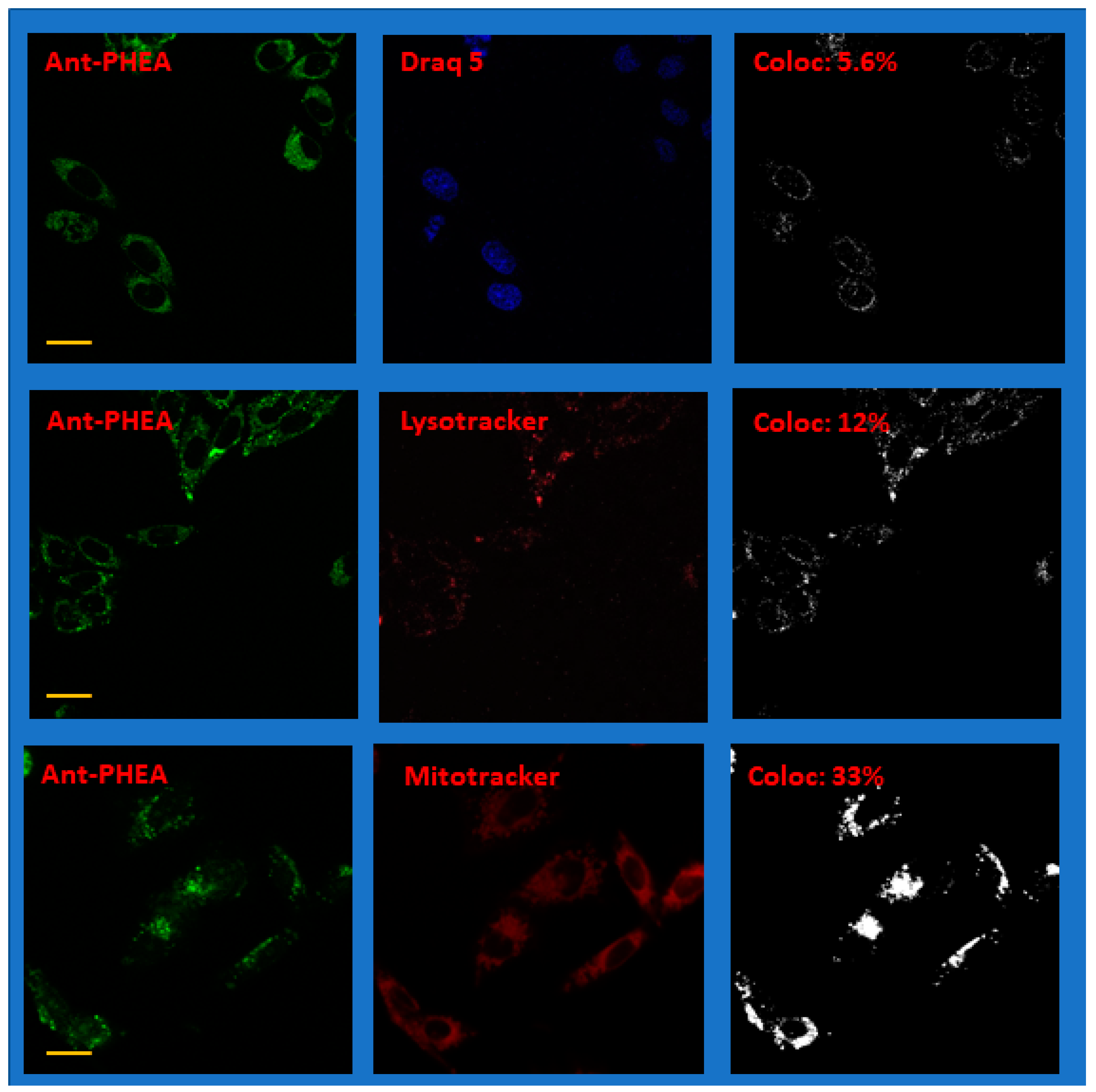 Molecules 25 01127 g007 Molecules 25 01127 g007