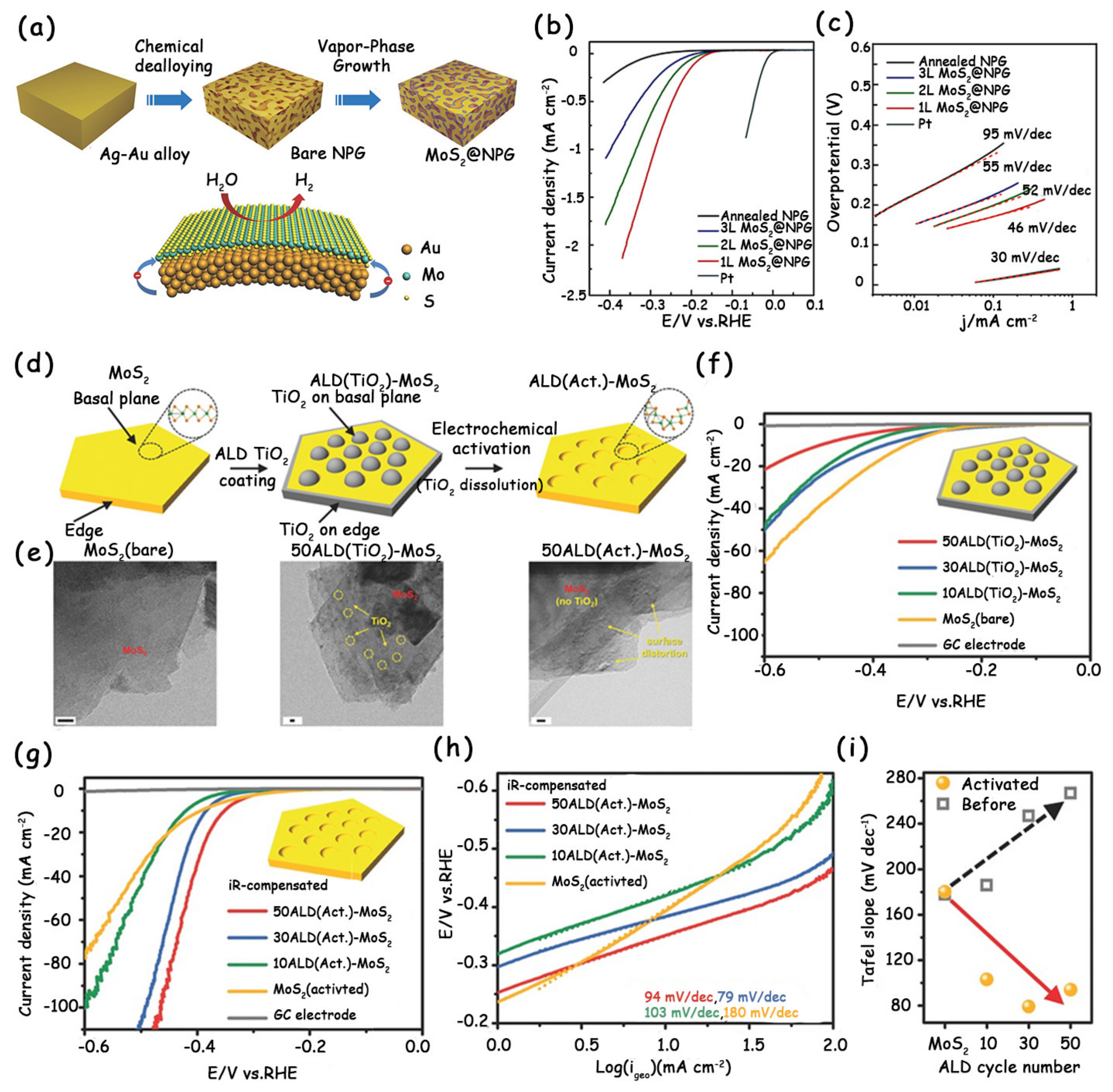 Molecules 25 01136 g007