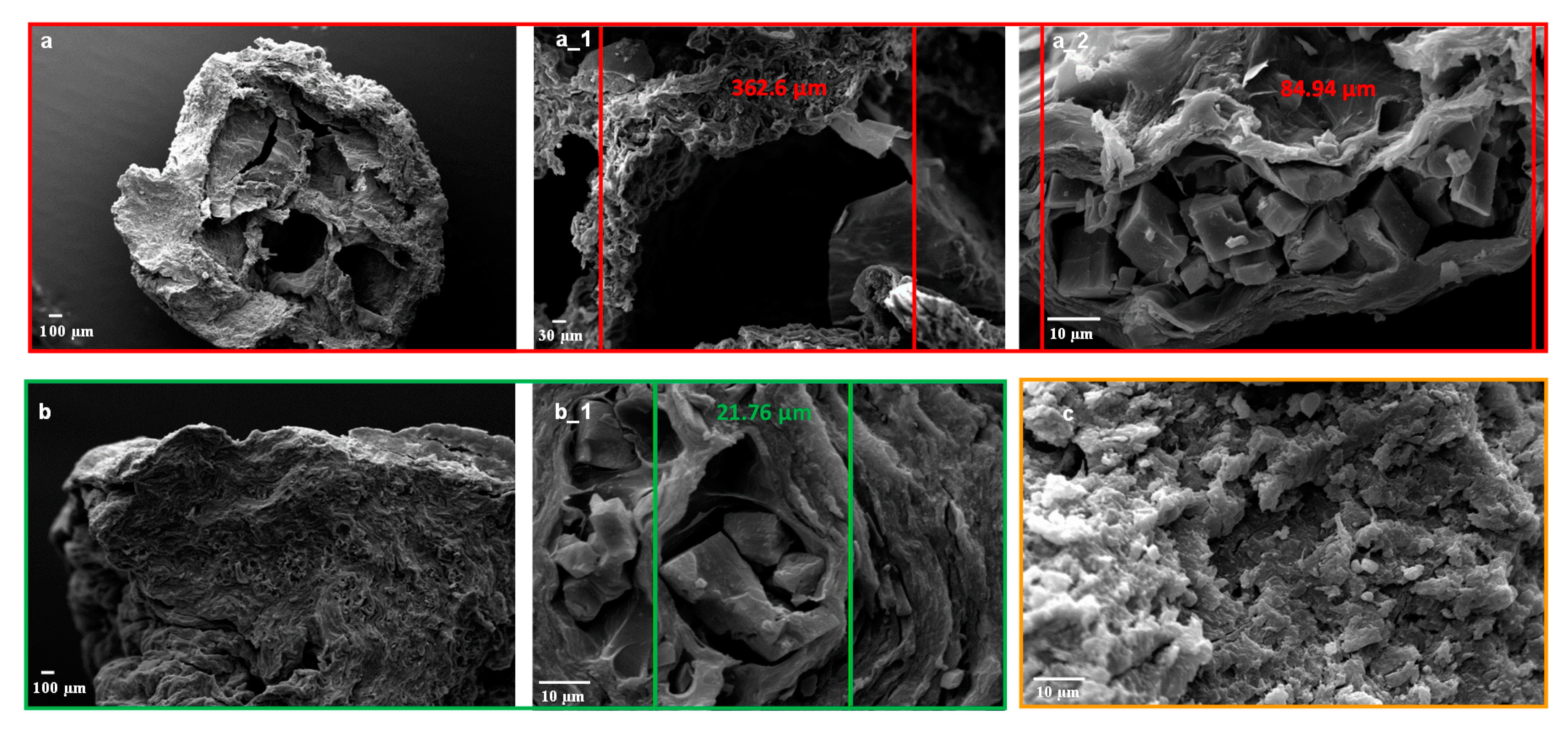 Molecules 25 01140 g002