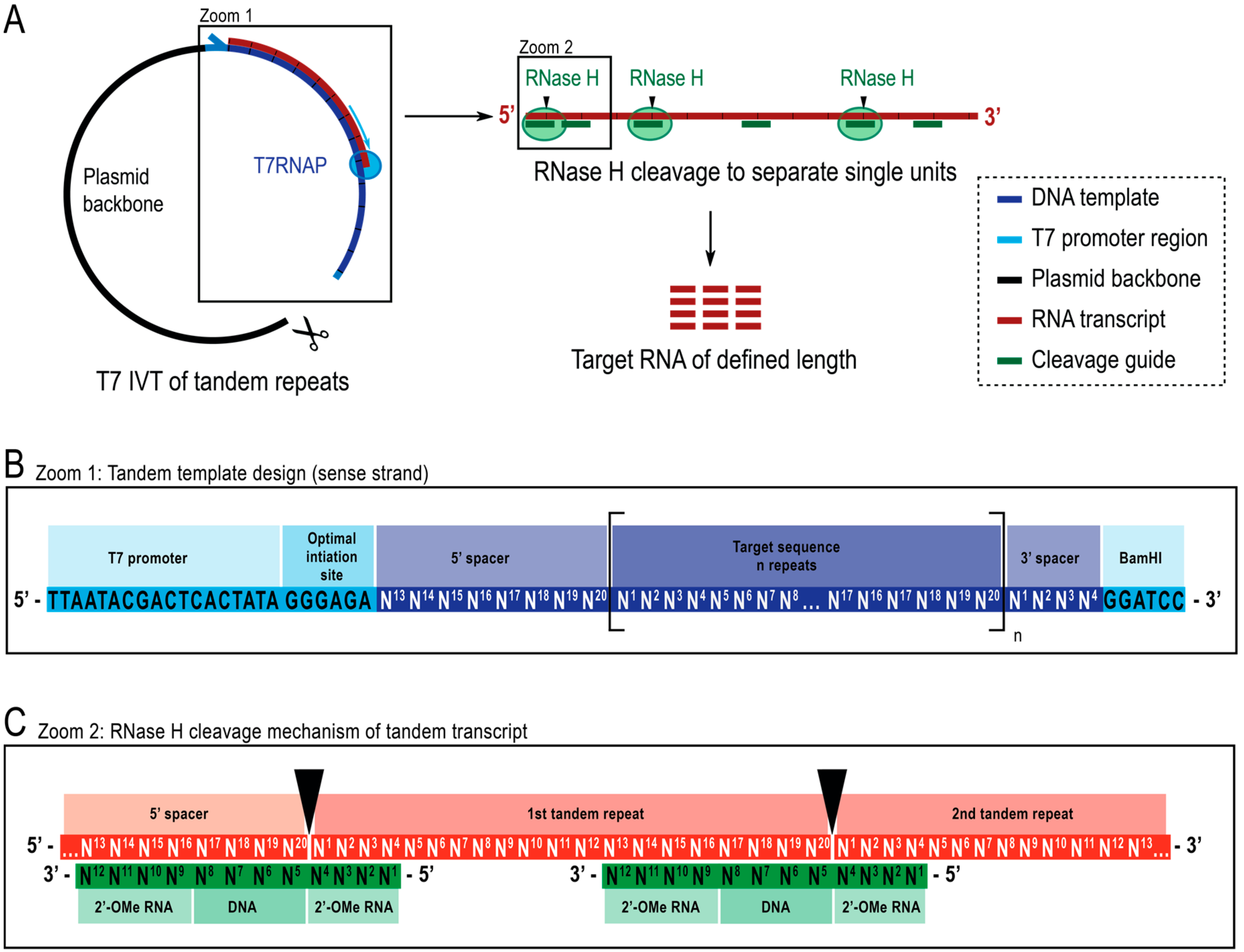 Molecules 25 01142 g001