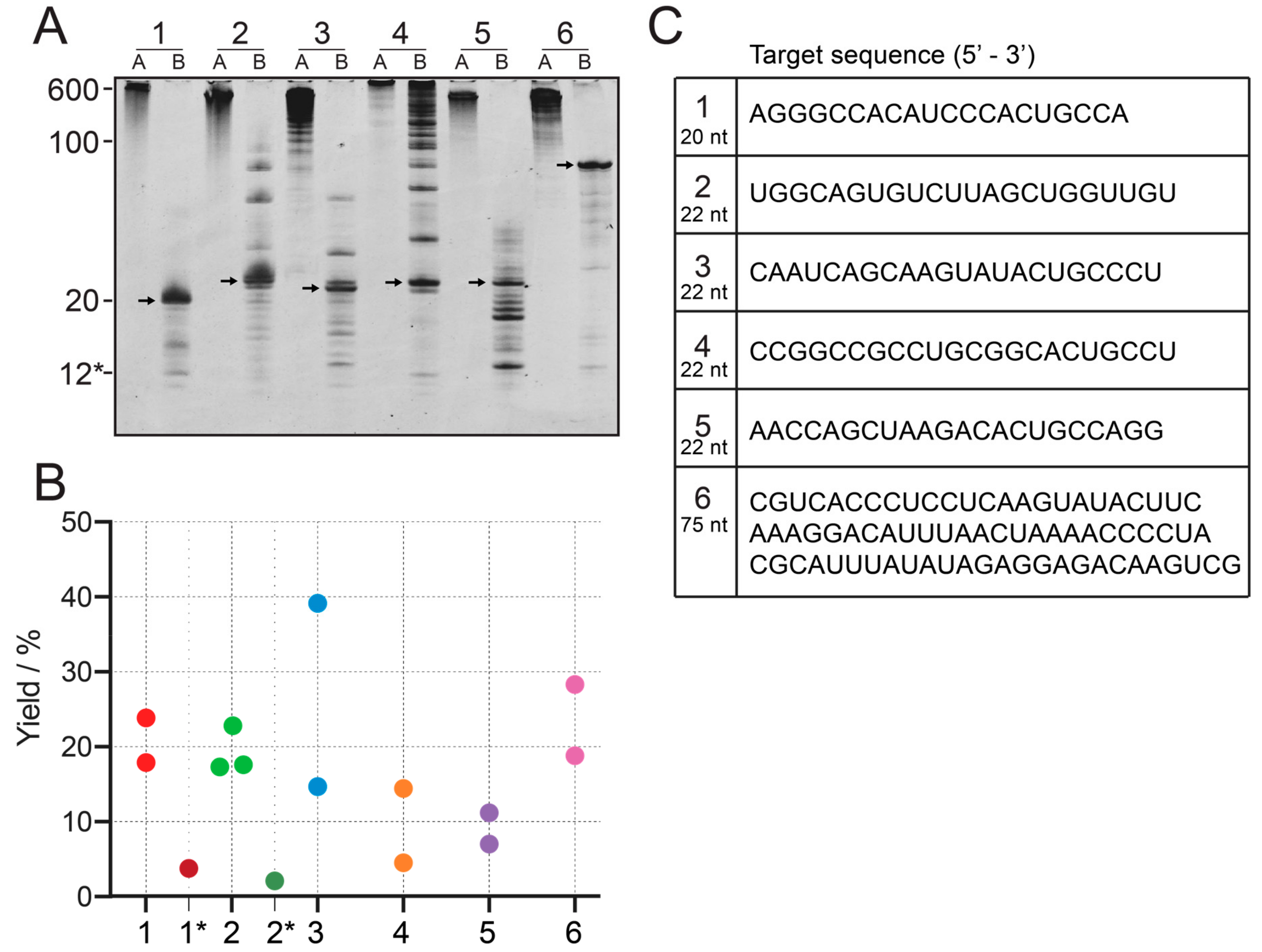 Molecules 25 01142 g003