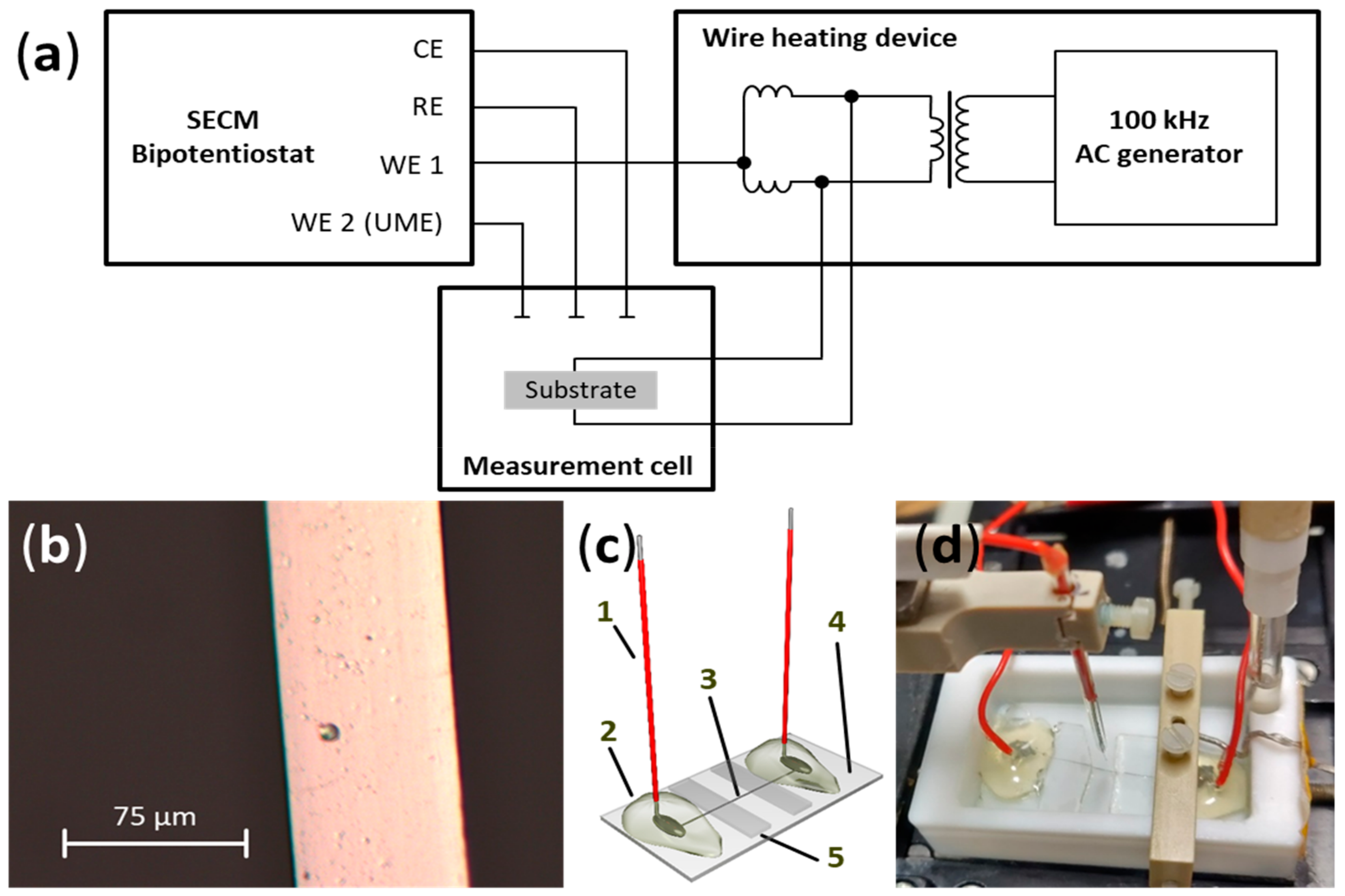 Molecules 25 01169 g005