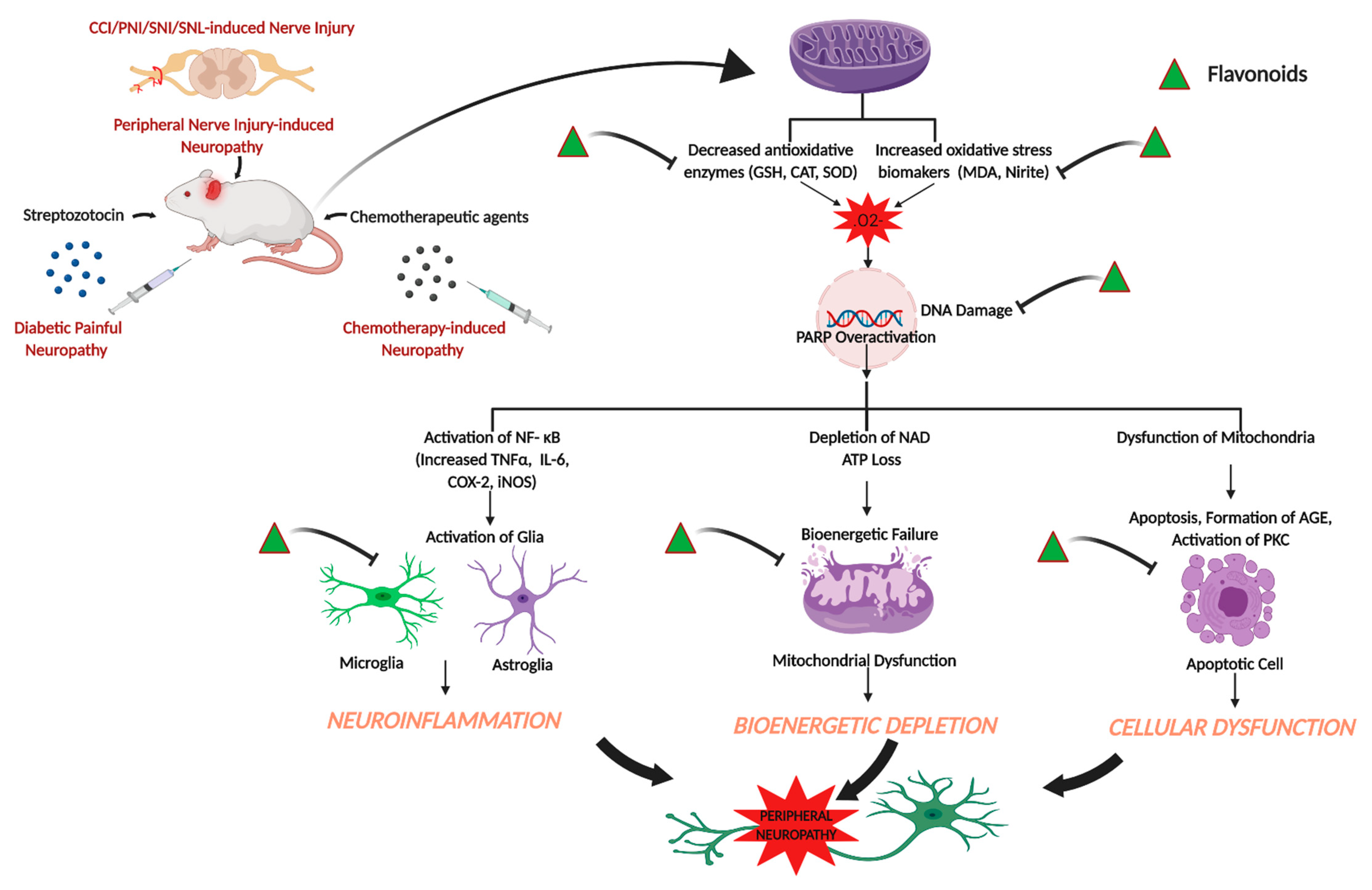 Molecules 25 01171 g001