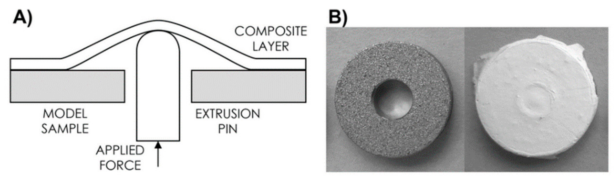 Molecules 25 01173 g003