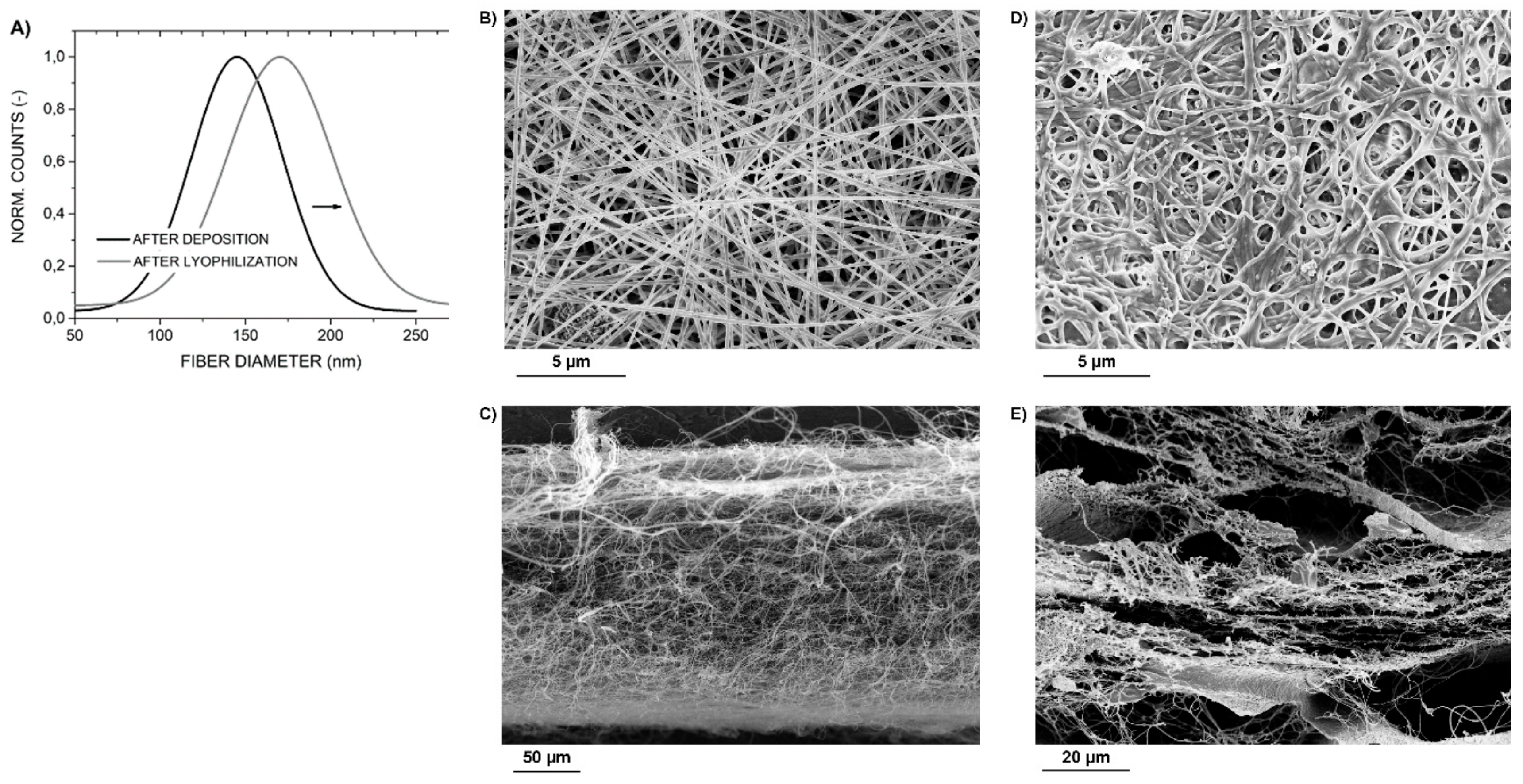 Molecules 25 01173 g005