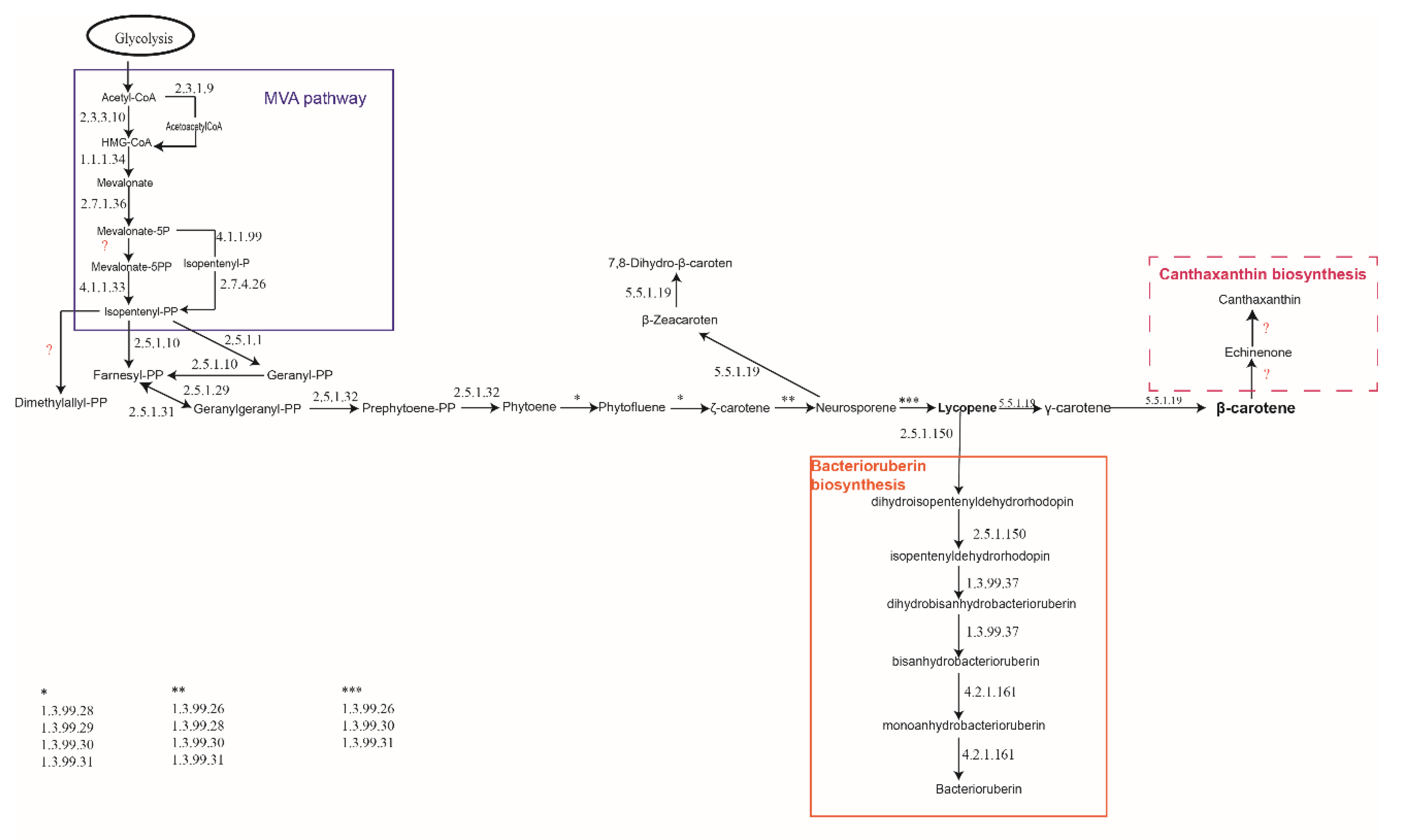 Molecules 25 01197 g002
