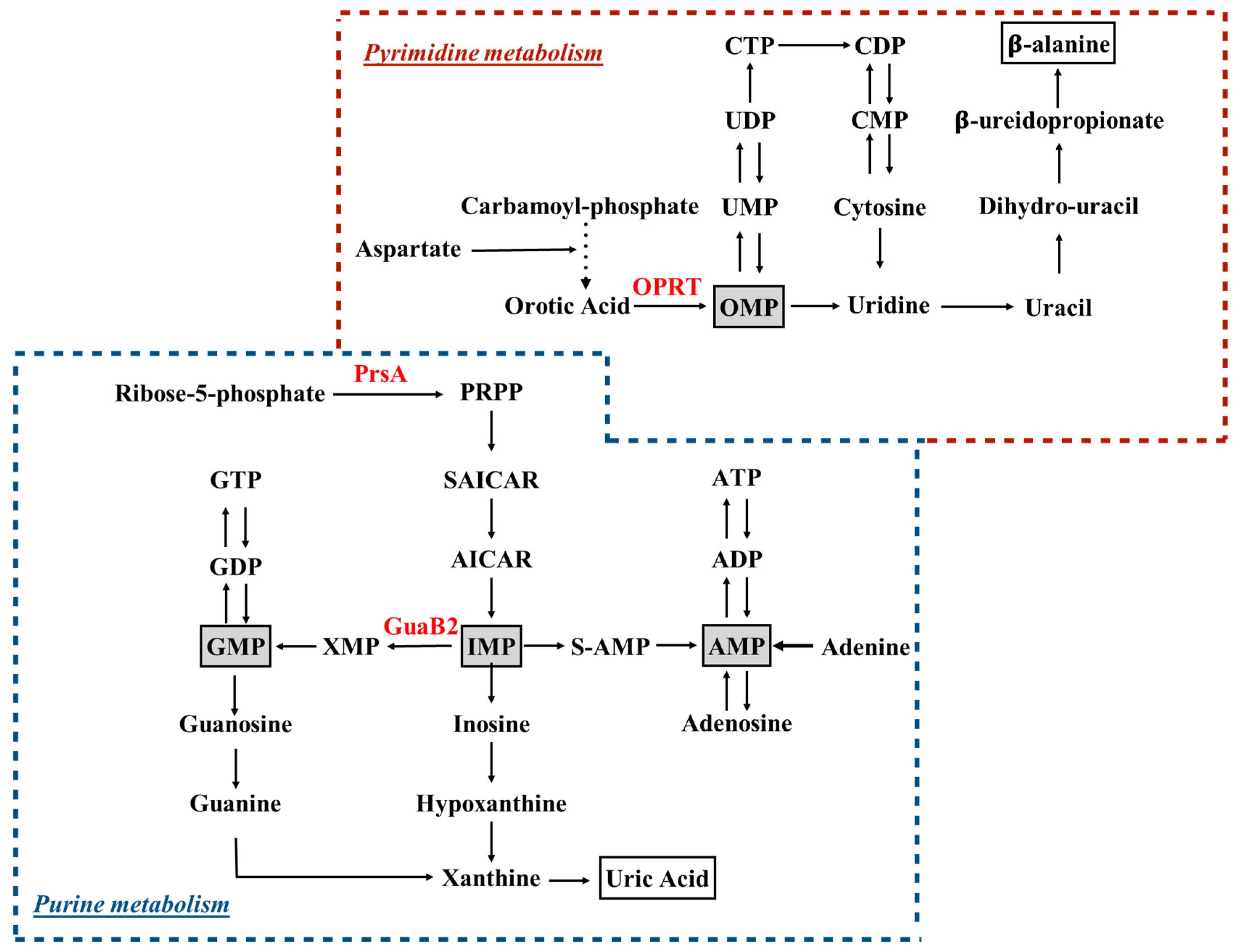 Molecules 25 01205 g001 Molecules 25 01205 g001