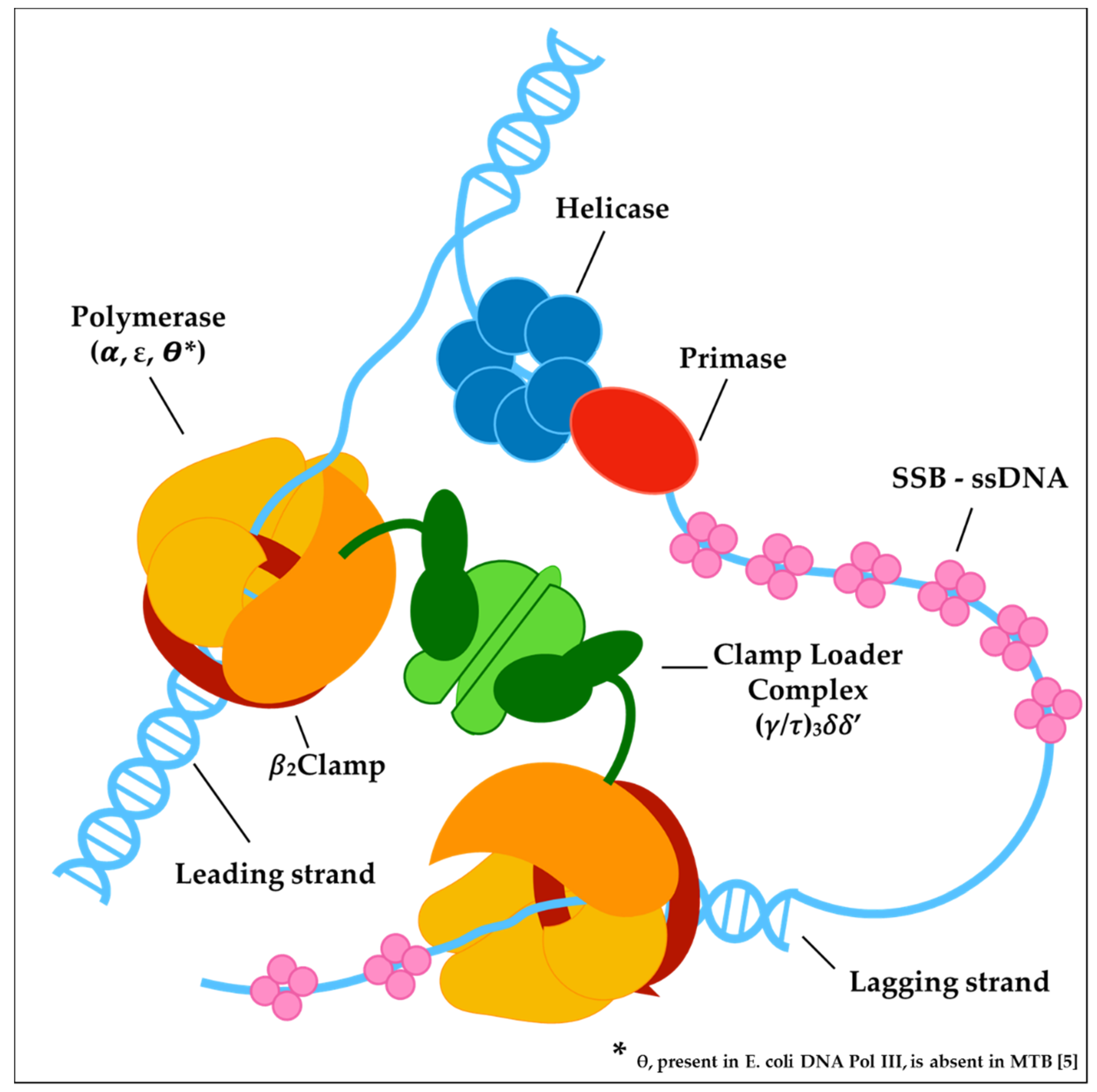 Molecules 25 01205 g002 Molecules 25 01205 g002