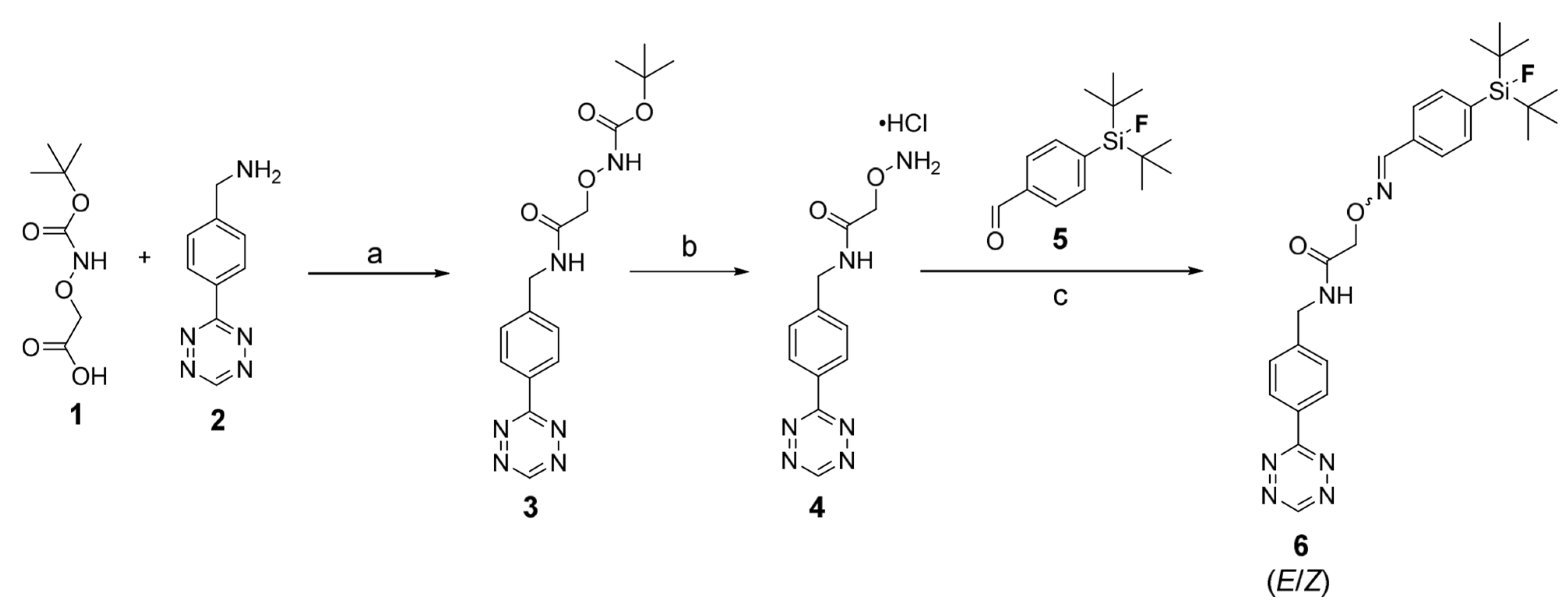 Molecules 25 01208 sch001 Molecules 25 01208 sch001