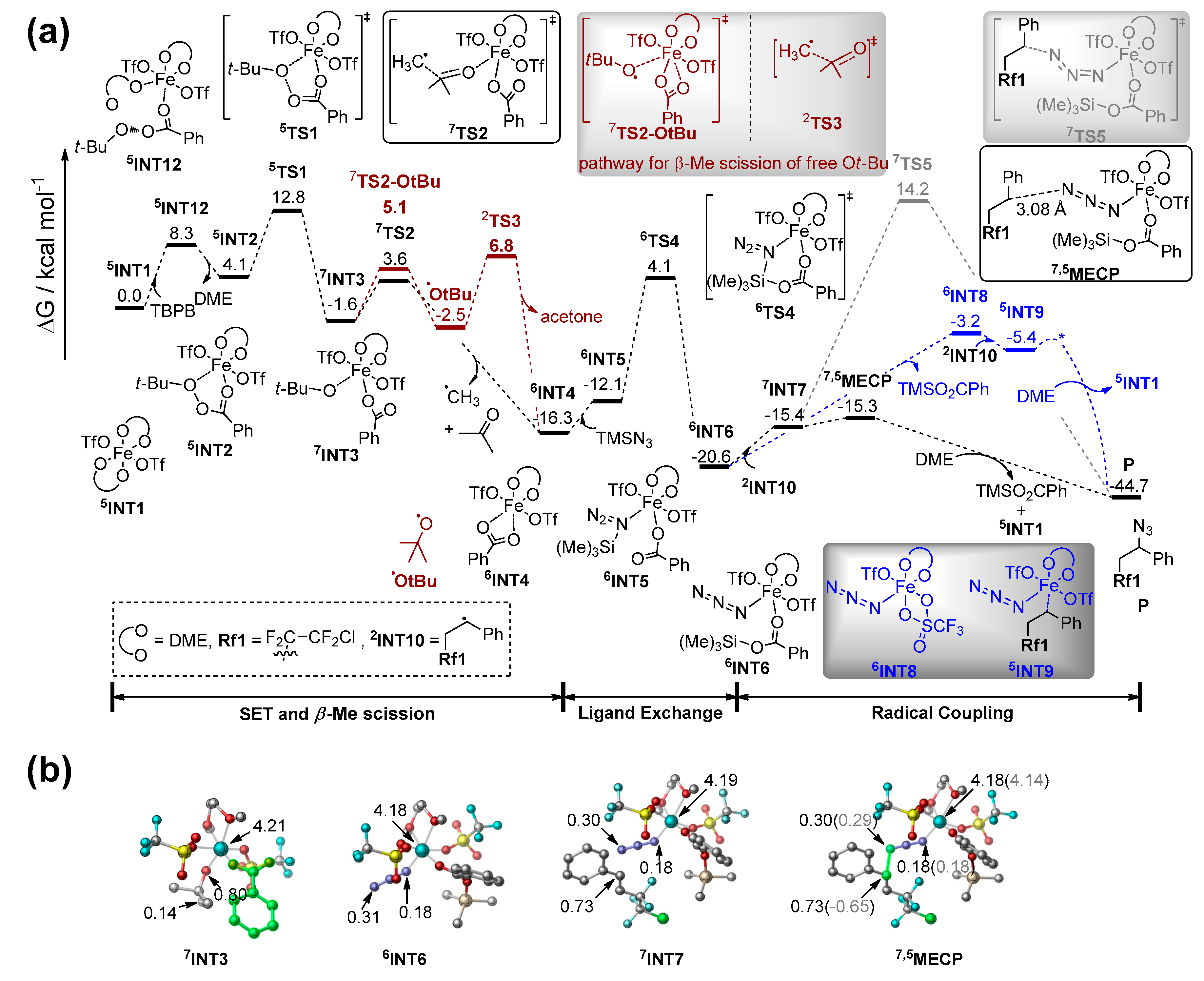 Molecules 25 01224 g001 Molecules 25 01224 g001
