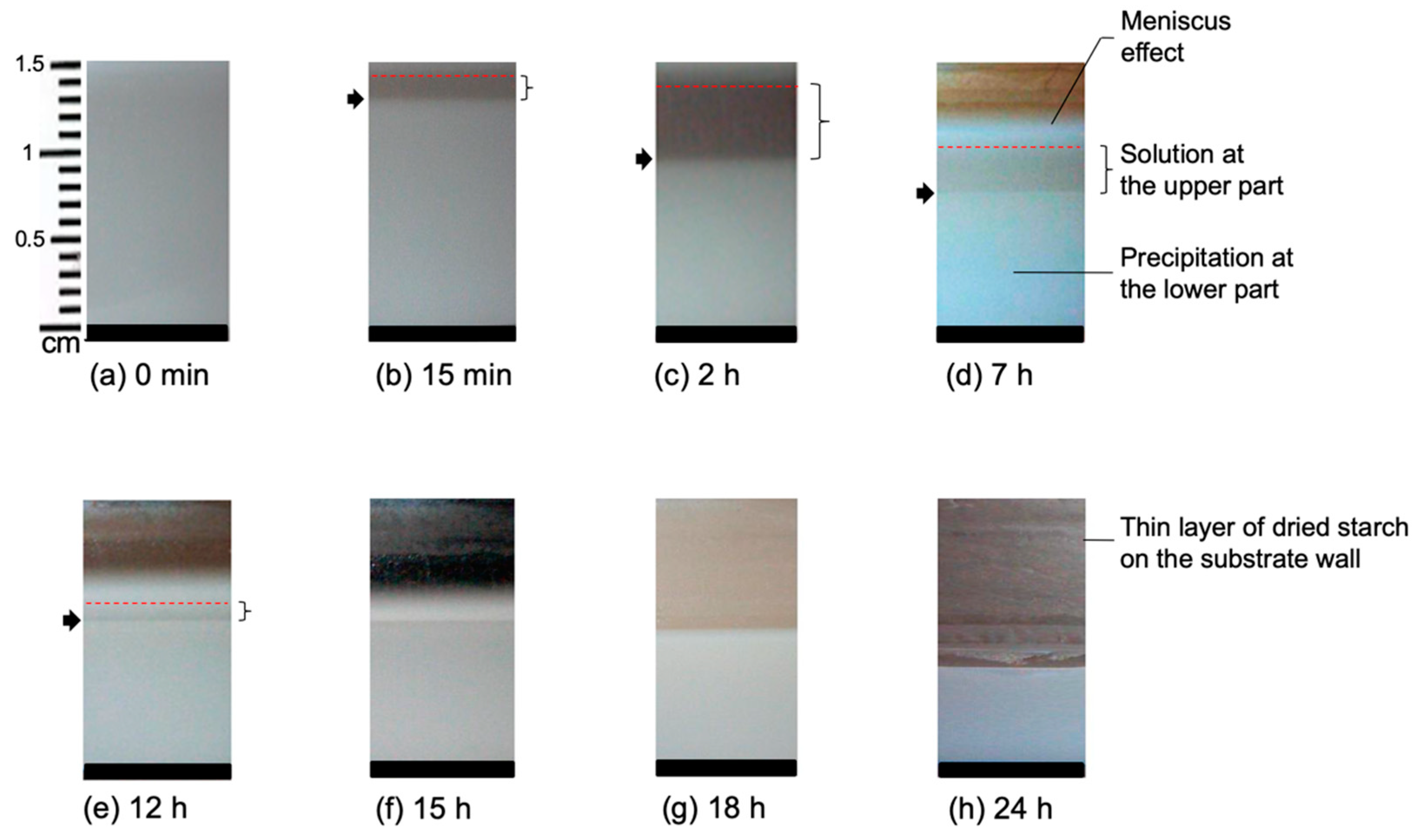 Molecules 25 01227 g001 Molecules 25 01227 g001