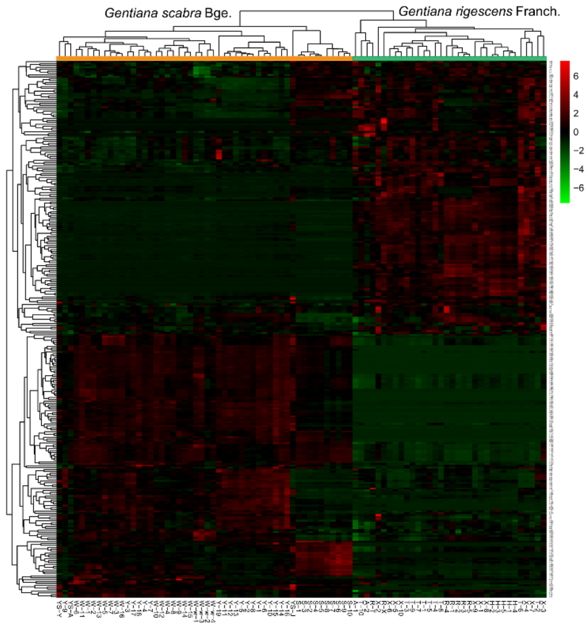 Molecules 25 01228 g008