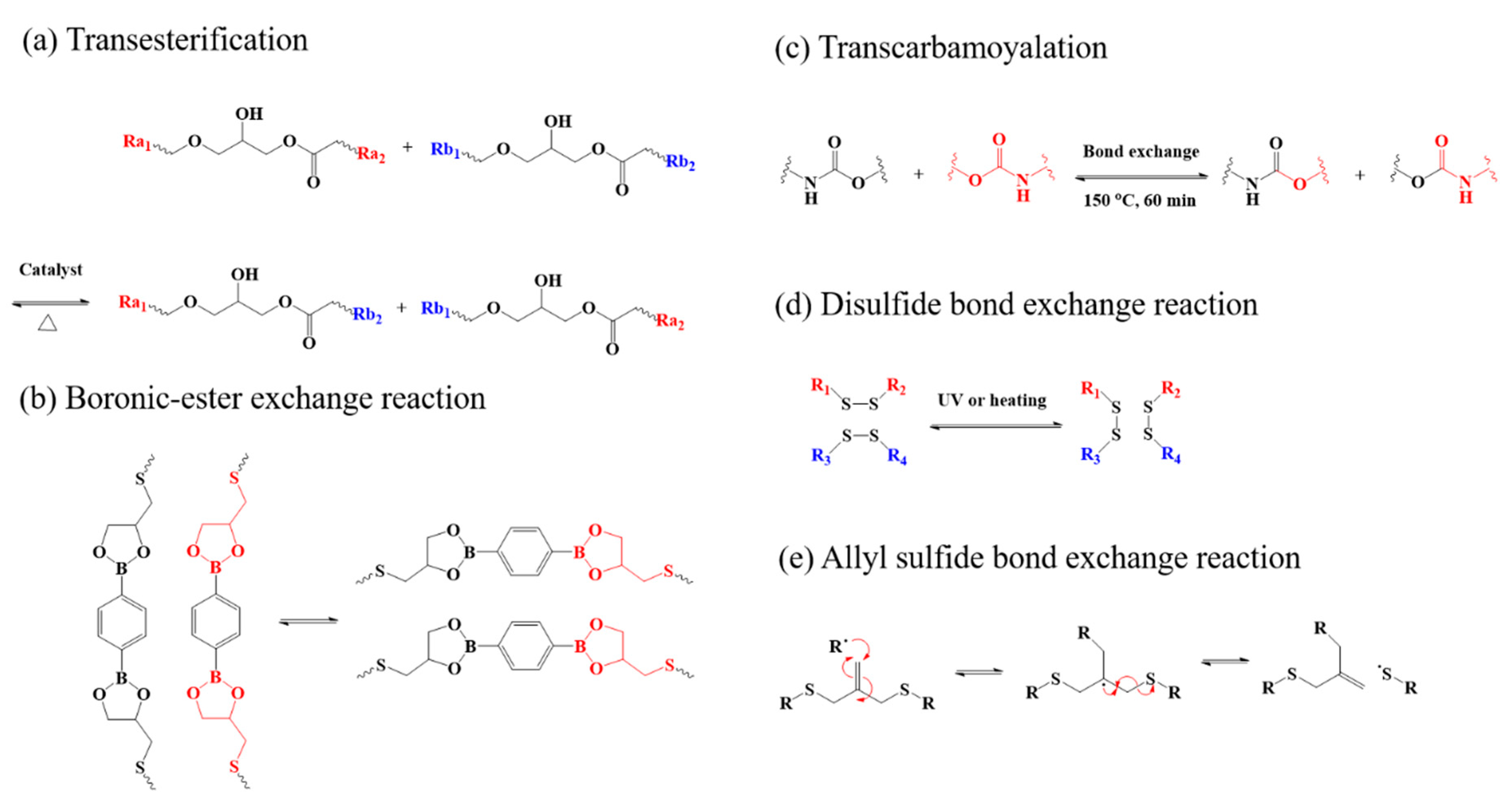 Molecules 25 01241 g002