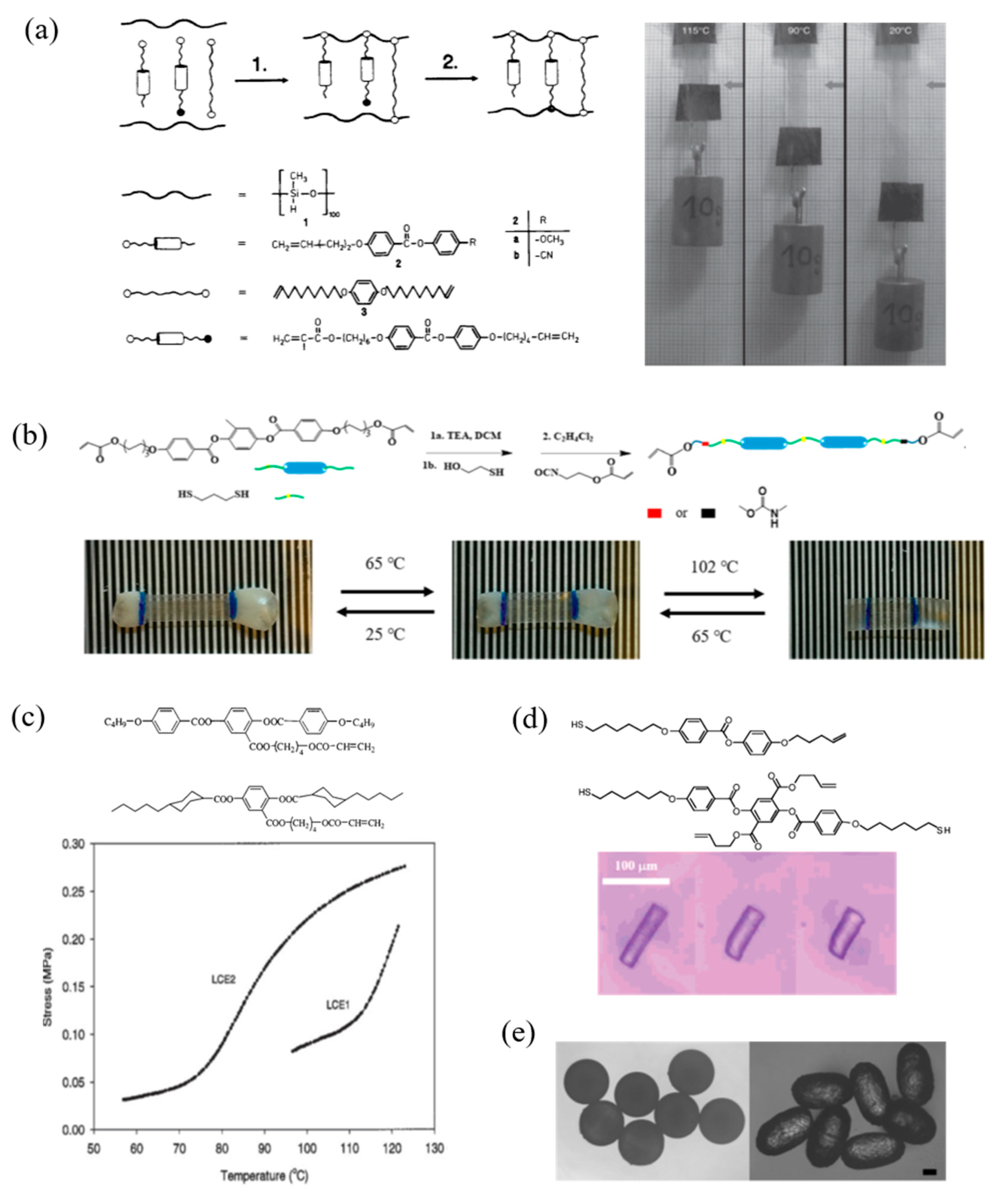 Molecules 25 01241 g003